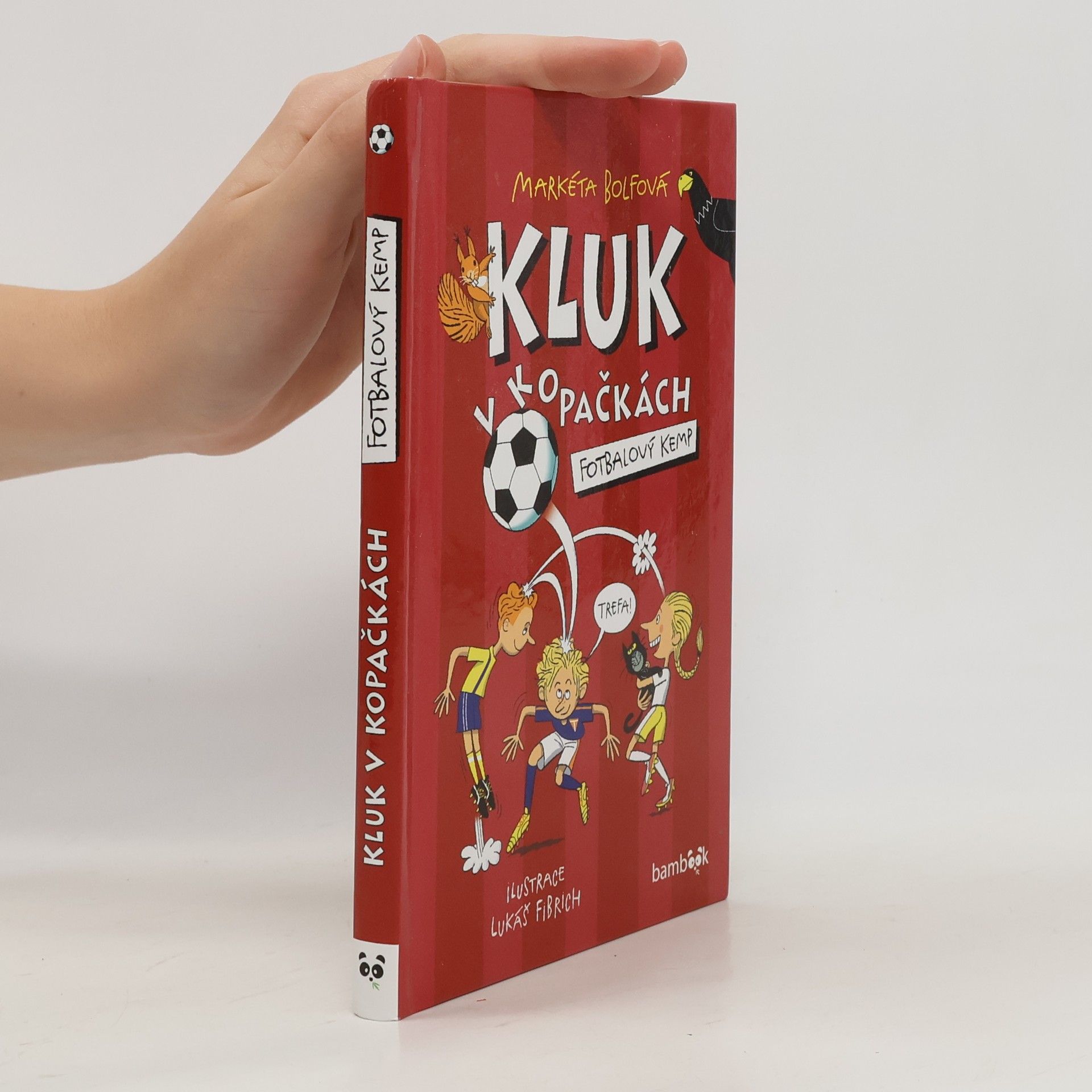 Lubomír Šebesta Kluk v kopačkách – Fotbalový kemp