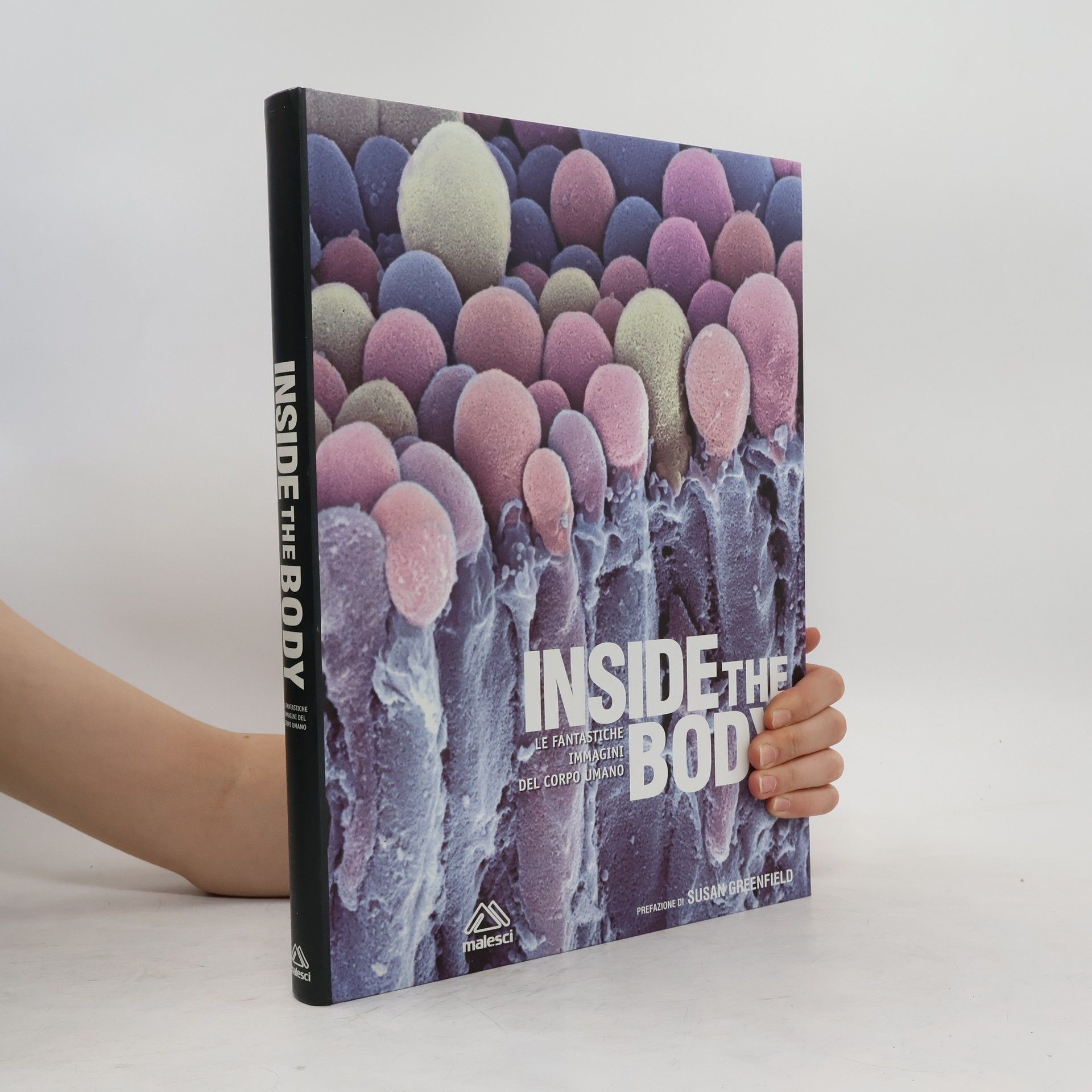 kolektiv Inside the Body