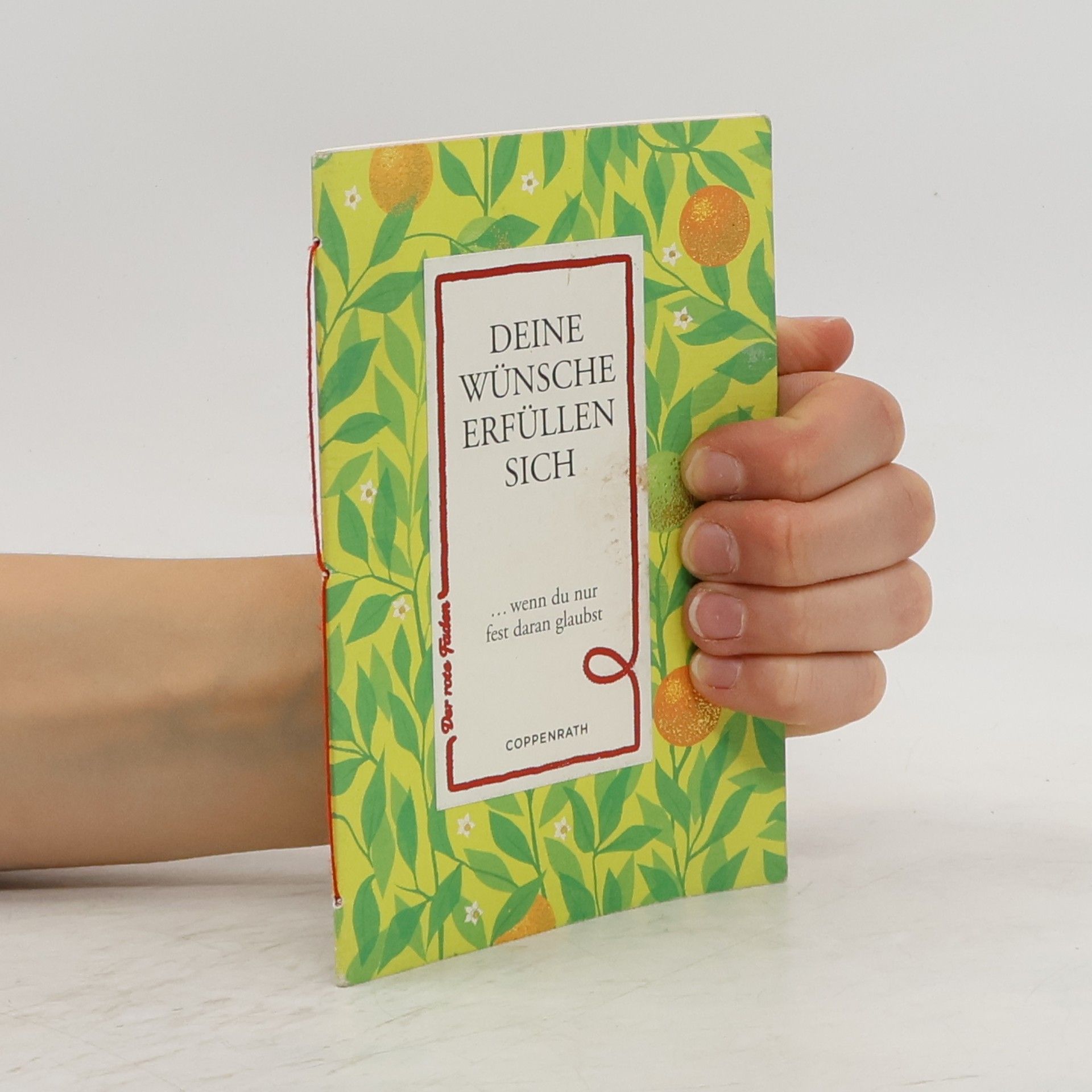 Autores varios Deine Wünsche erfüllen sich