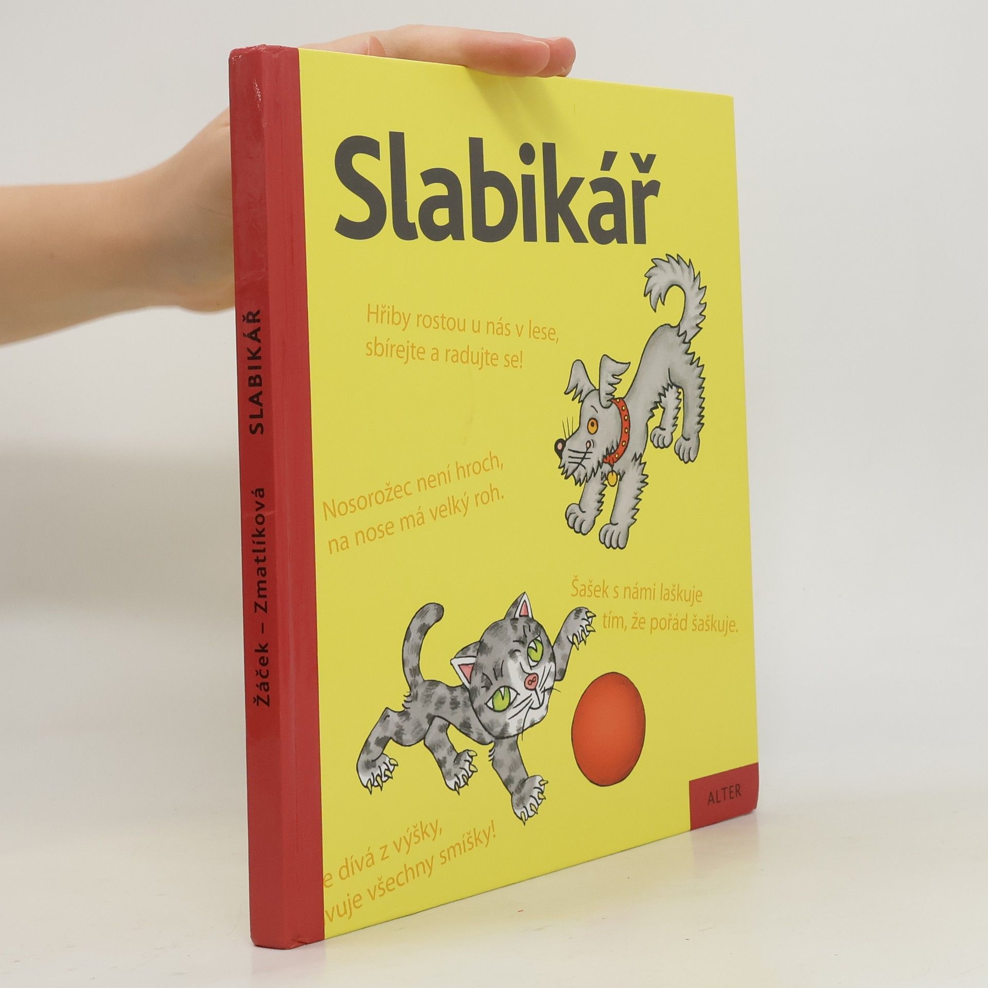 Slabikář : učebnice pro vzdělávací obor Český jazyk a literatura