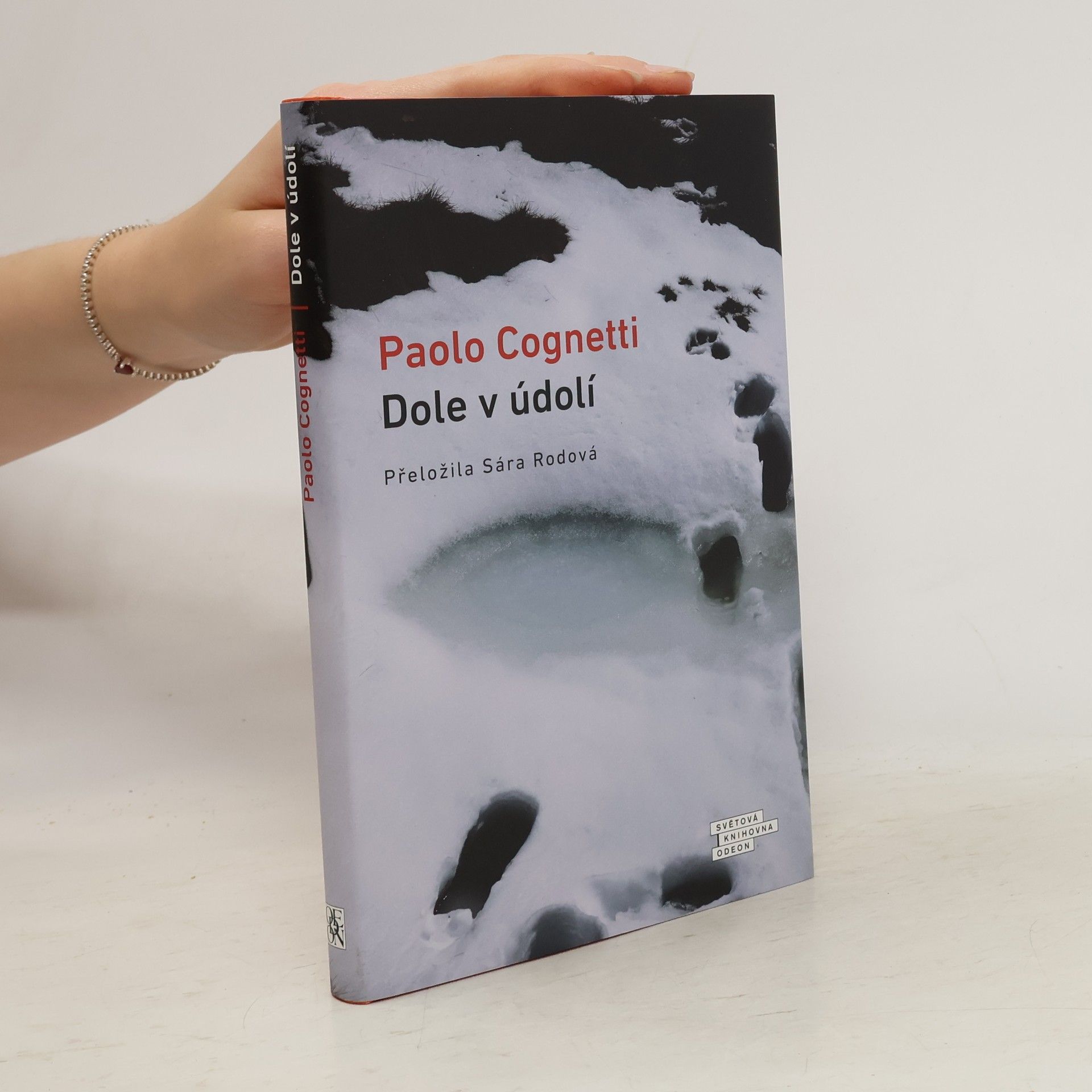 Paolo Cognetti Dole v údolí