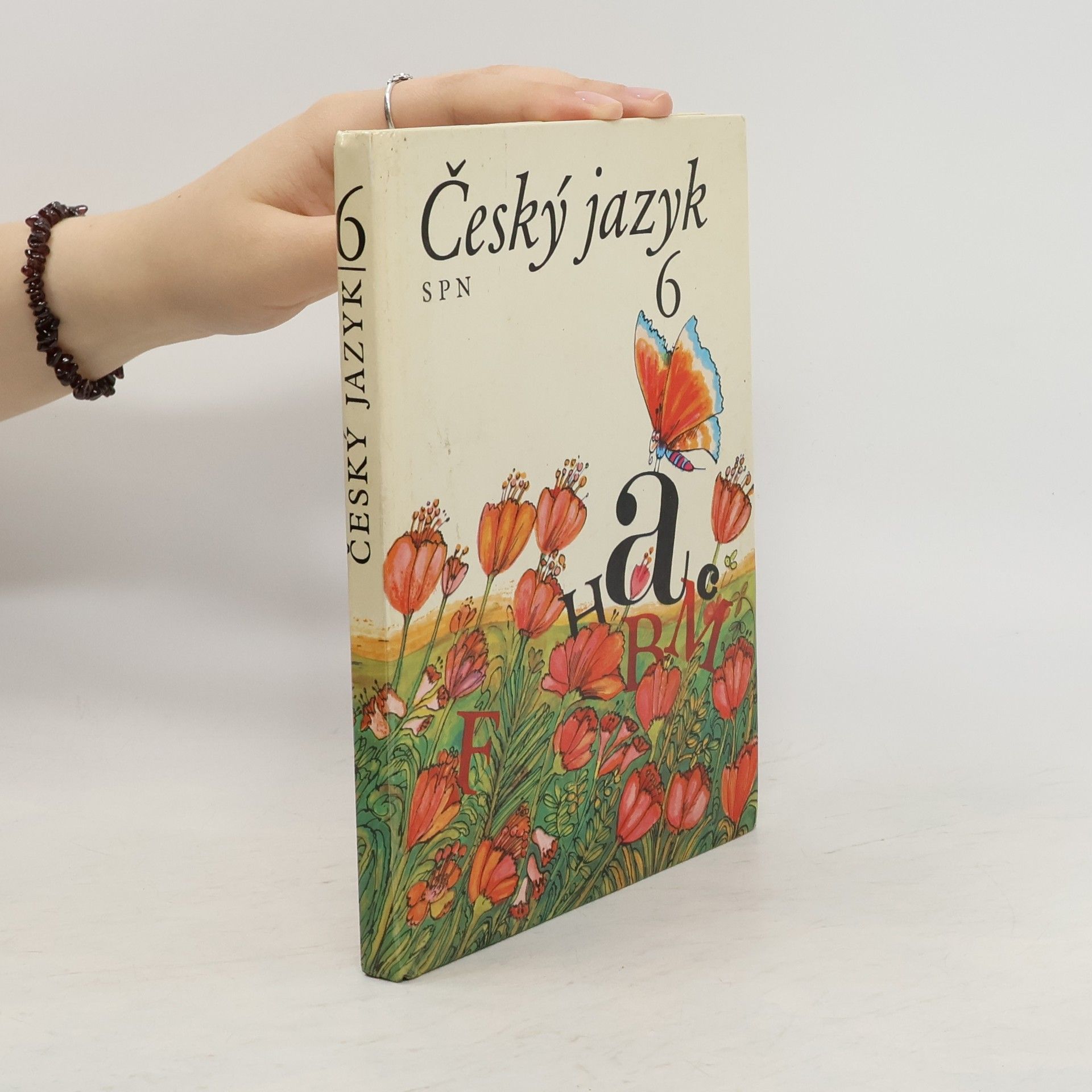 Collectif d'auteurs Český jazyk 6