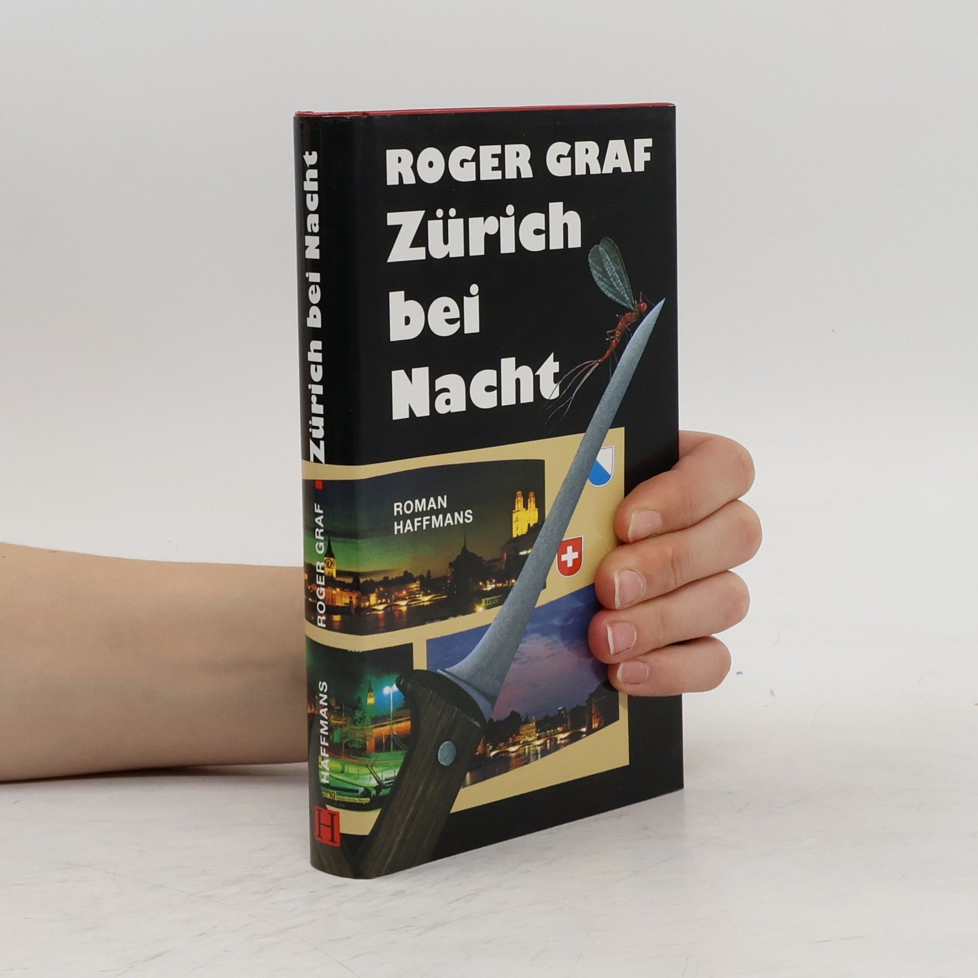 Roger Graf Zürich bei Nacht