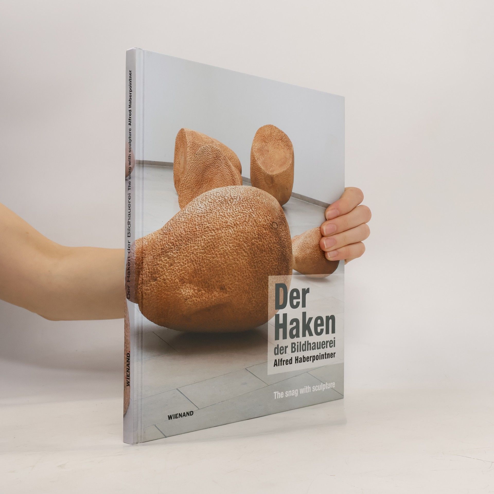 Arie Hartog Der Haken der Bildhauerei