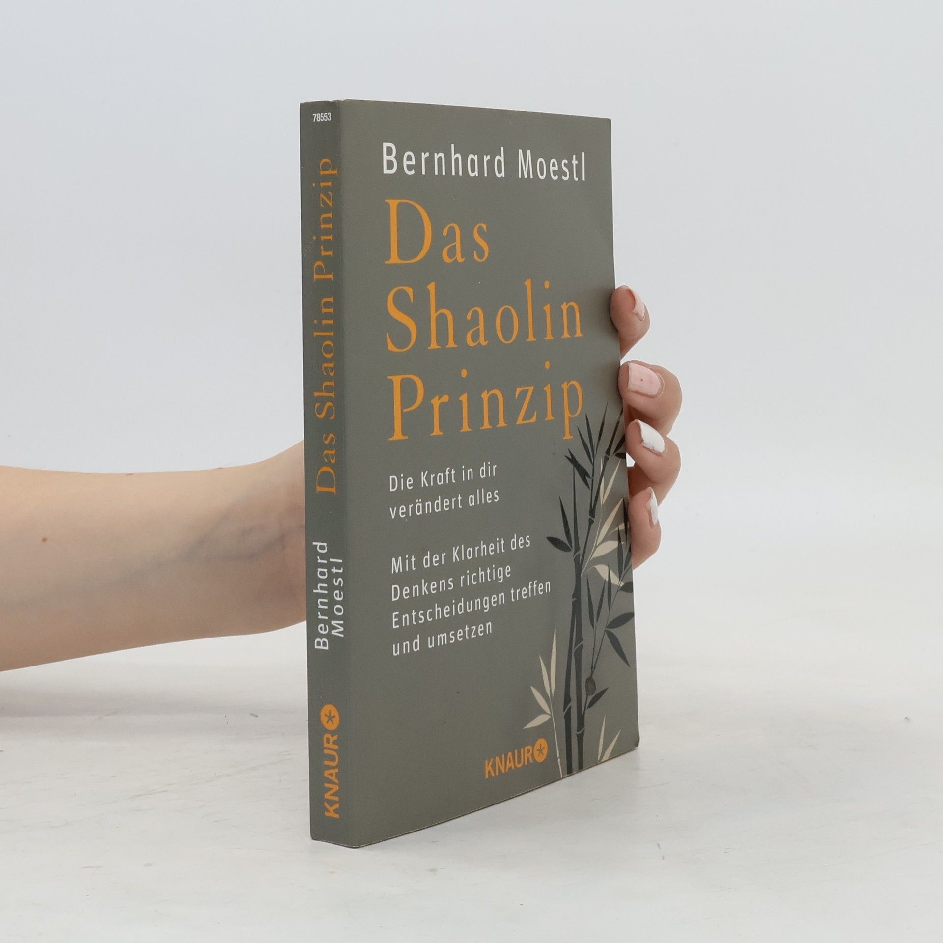 Bernhard Moestl Das Shaolin-Prinzip