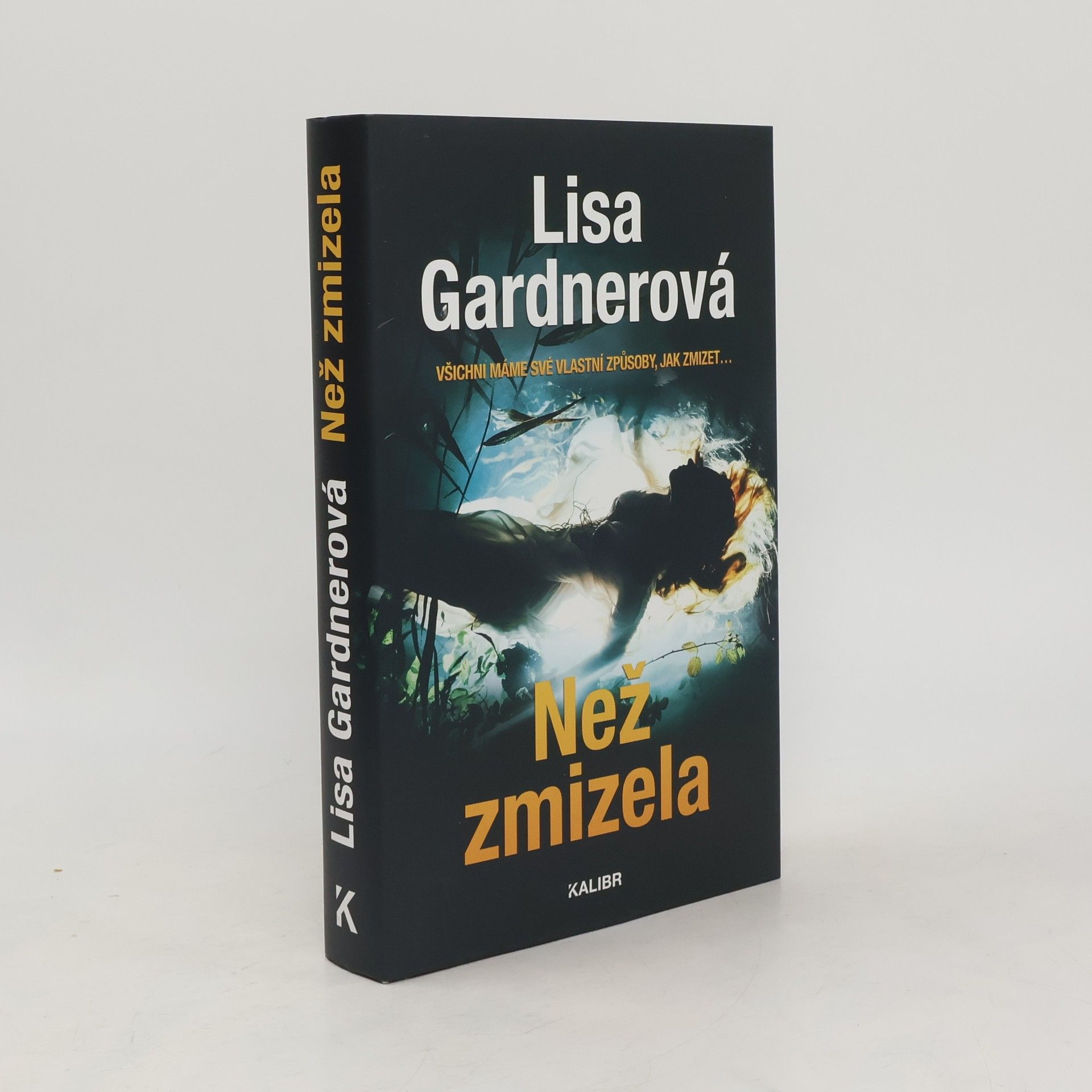 Irena Steinerová Než zmizela