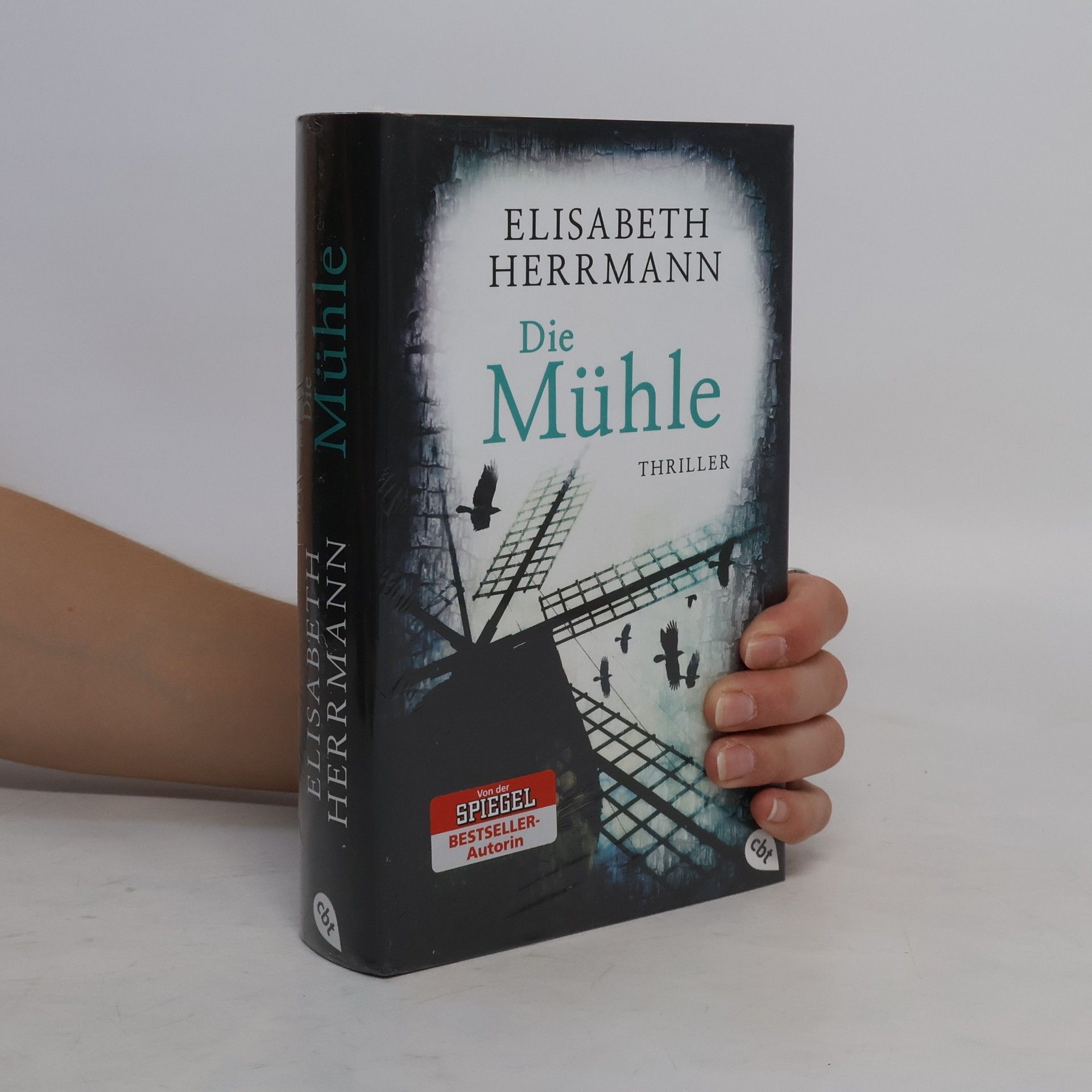 Elisabeth Hermann Die Mühle