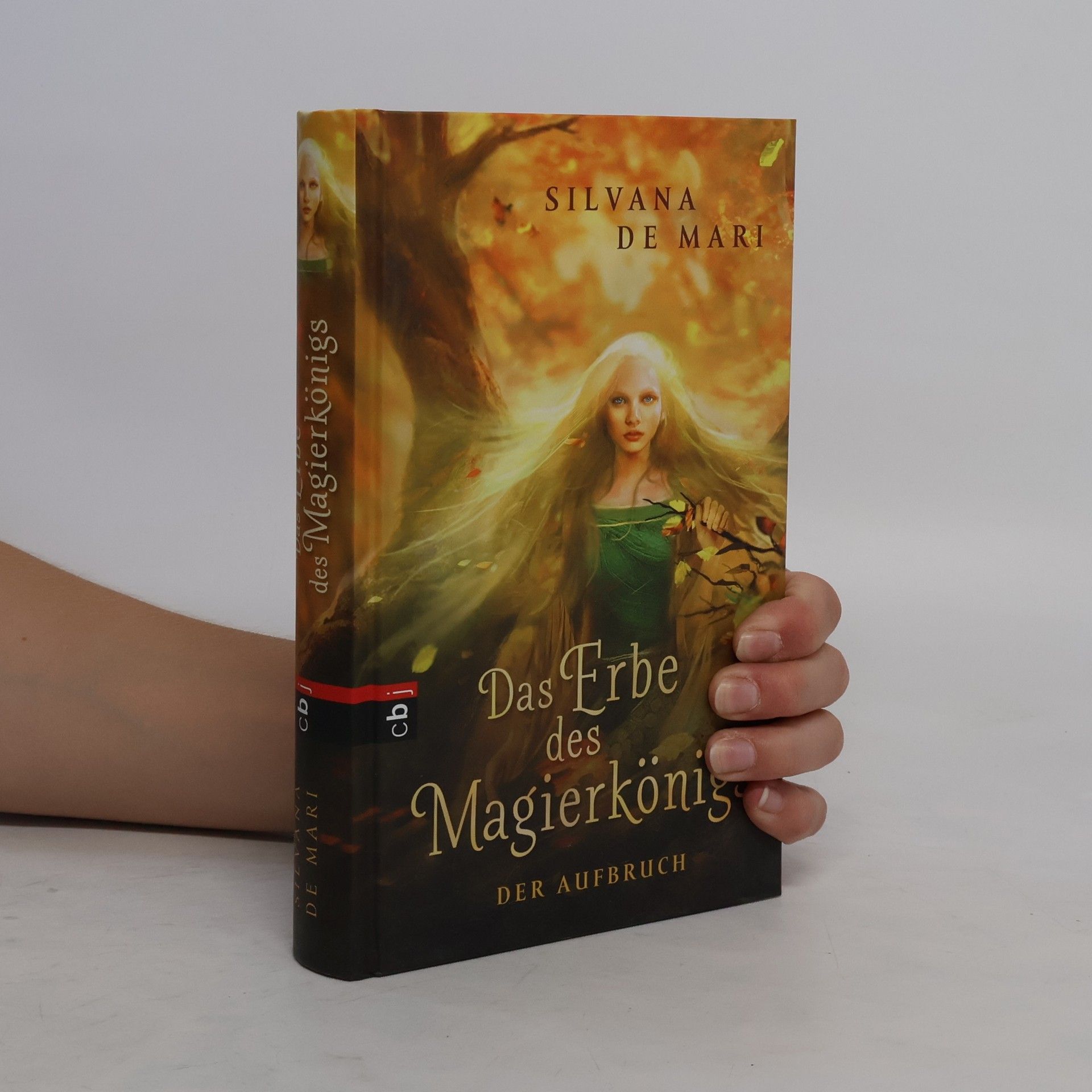 Silvana De Mari Das Erbe des Magierkönigs - der Aufbruch