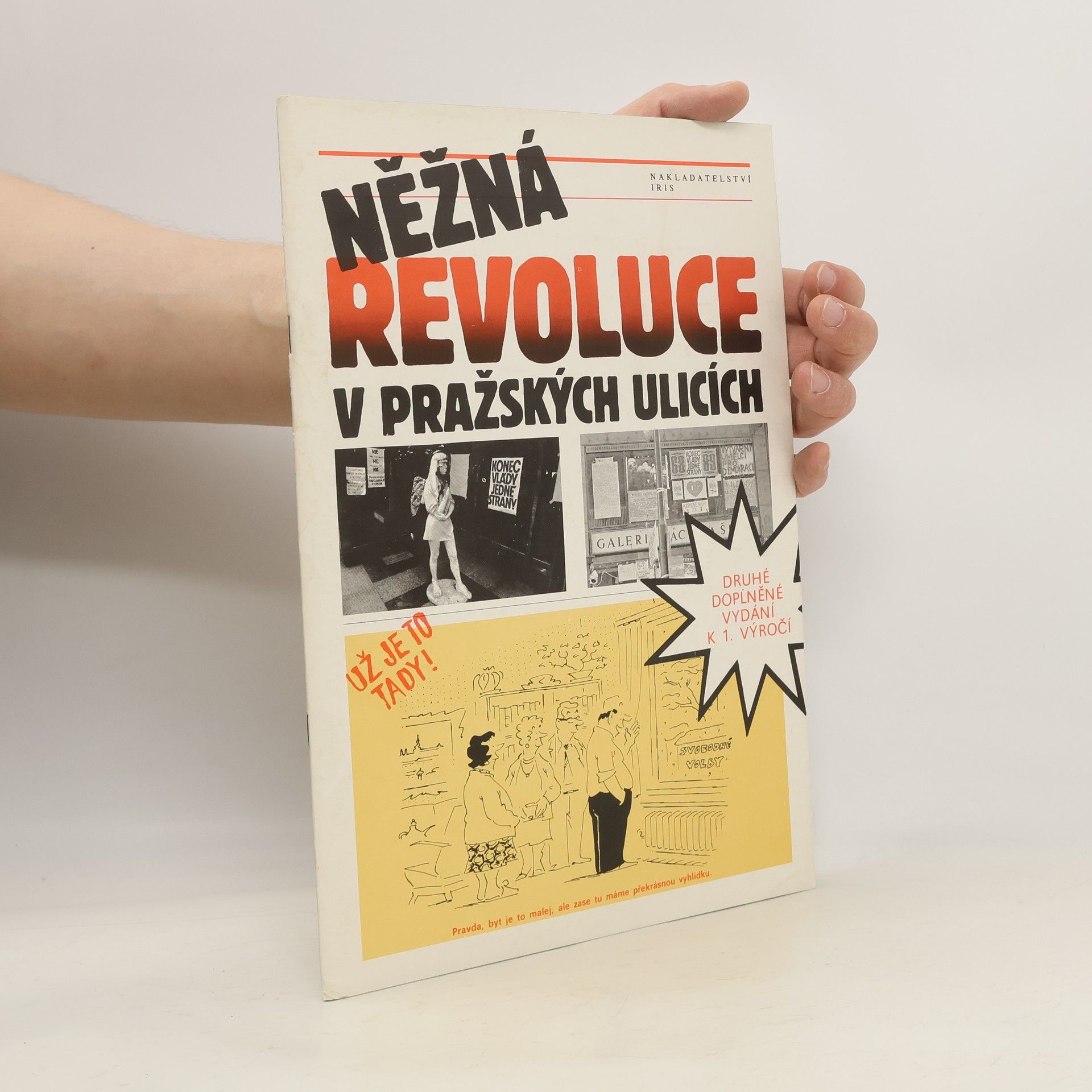 Autorenkollektiv Něžná revoluce v pražských ulicích