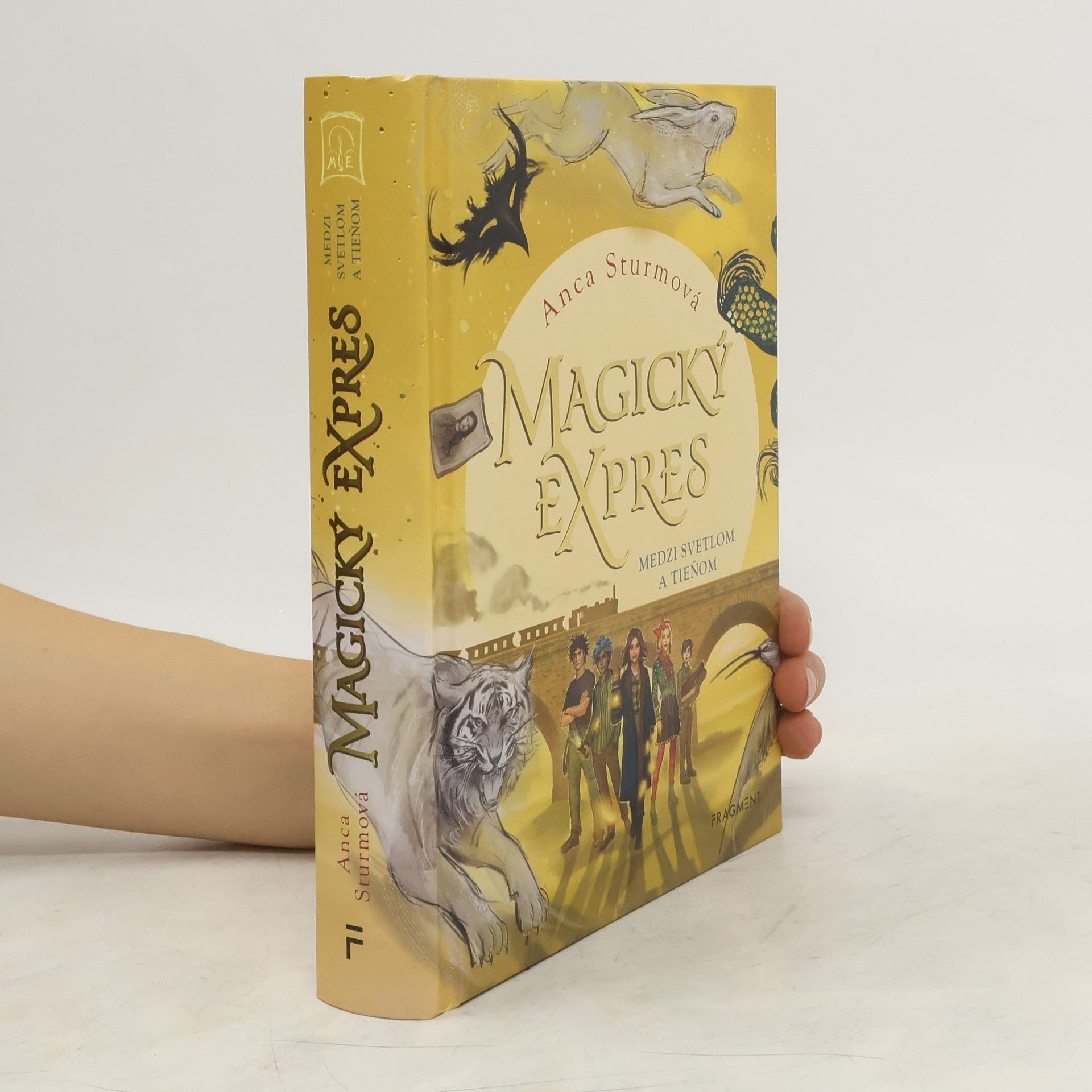 Anca Sturm Magický expres: Medzi svetlom a tieňom