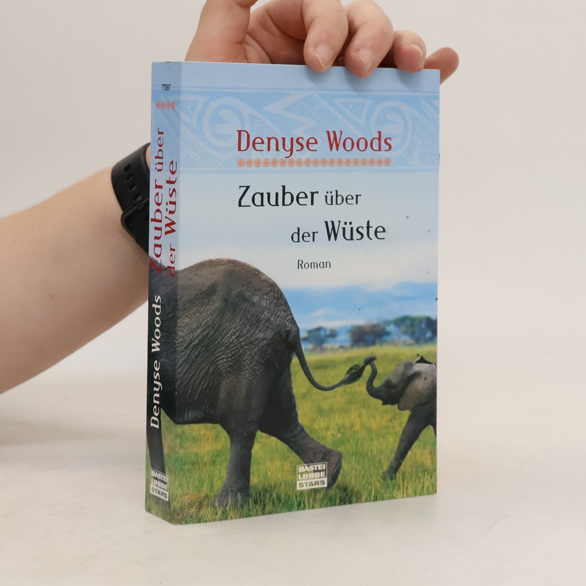 Denyse Woods Zauber über der Wüste