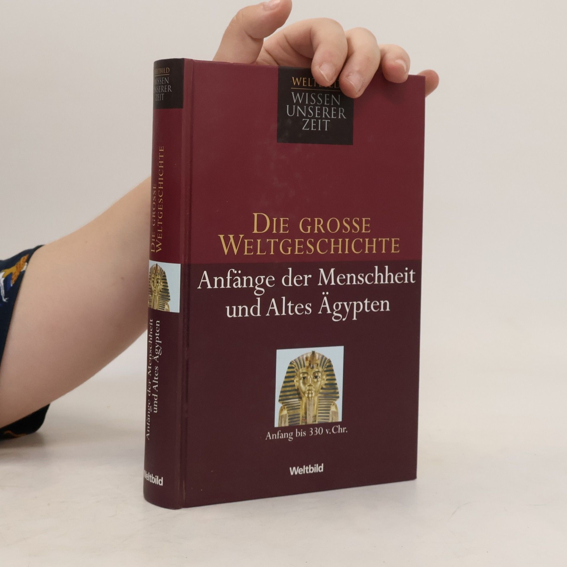 AA.VV. Die grosse Weltgeschichte: Anfänge der Menschheit und Altes Ägypten