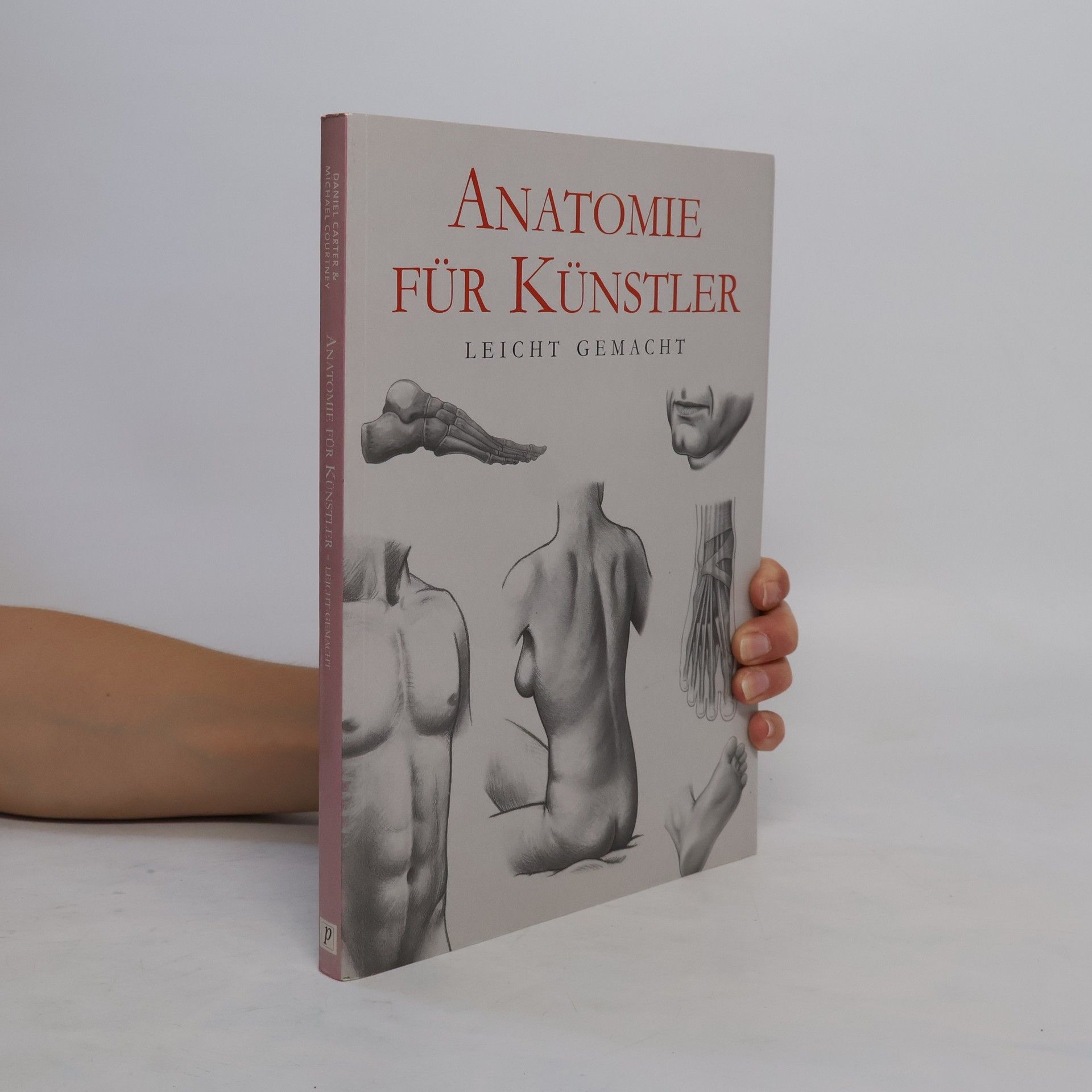 Daniel Carter Anatomie für Künstler