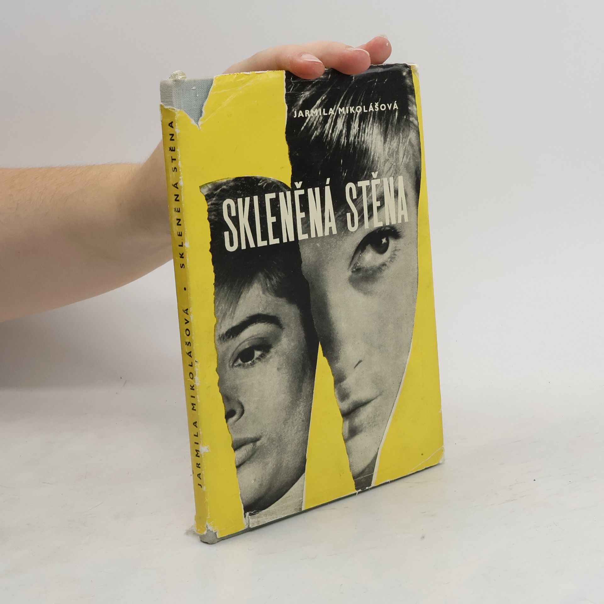 Jarmila Mikolášová Skleněná stěna