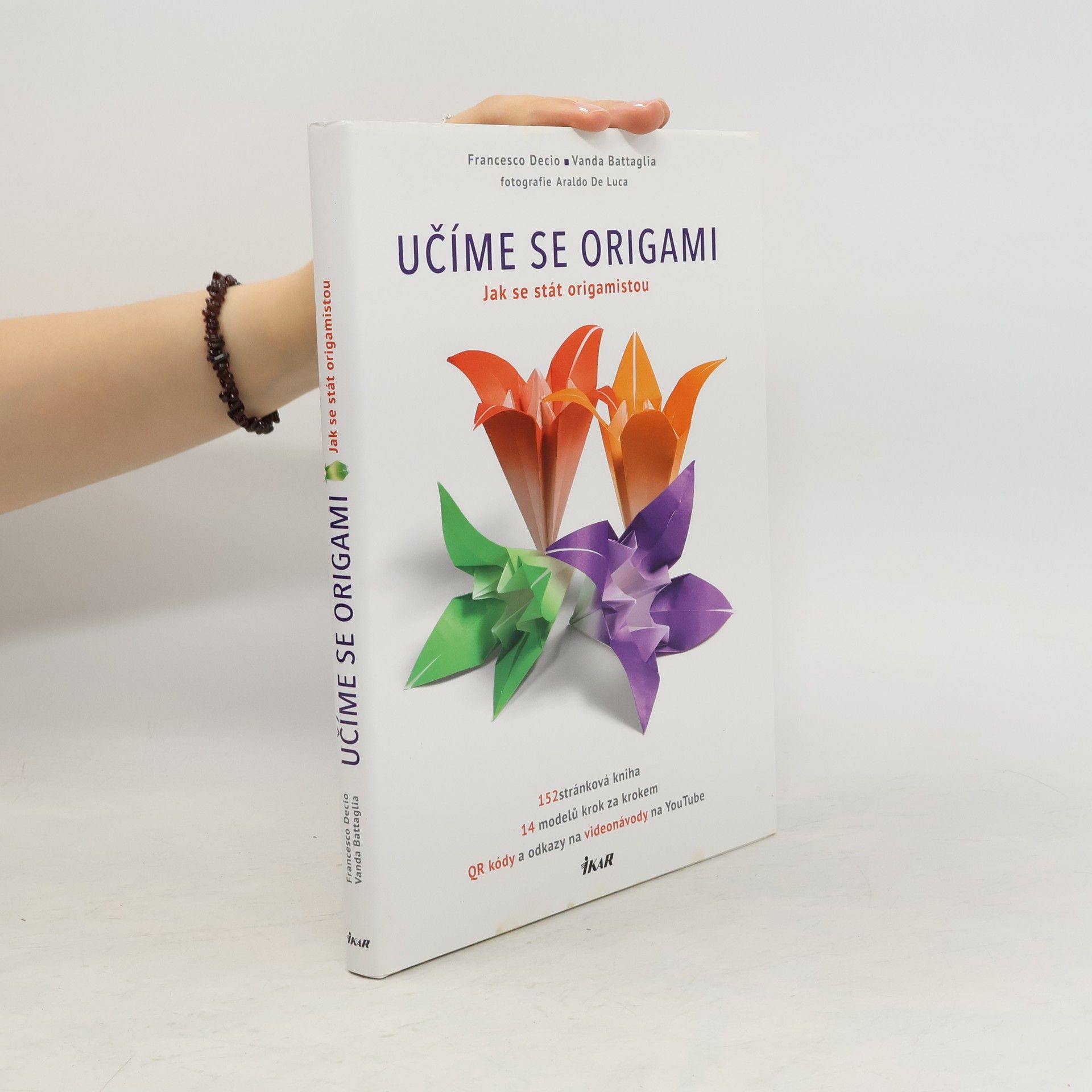 Francesco Decio Učíme se origami : jak se stát origamistou