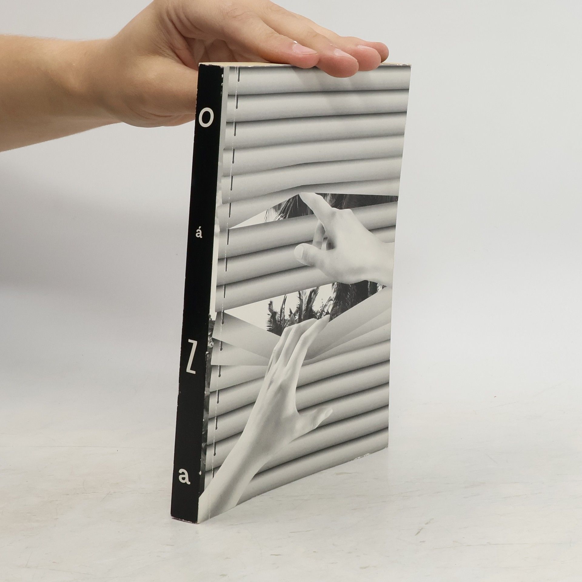 Collectif d'auteurs Oáza. Čím je Ostrava specifická?