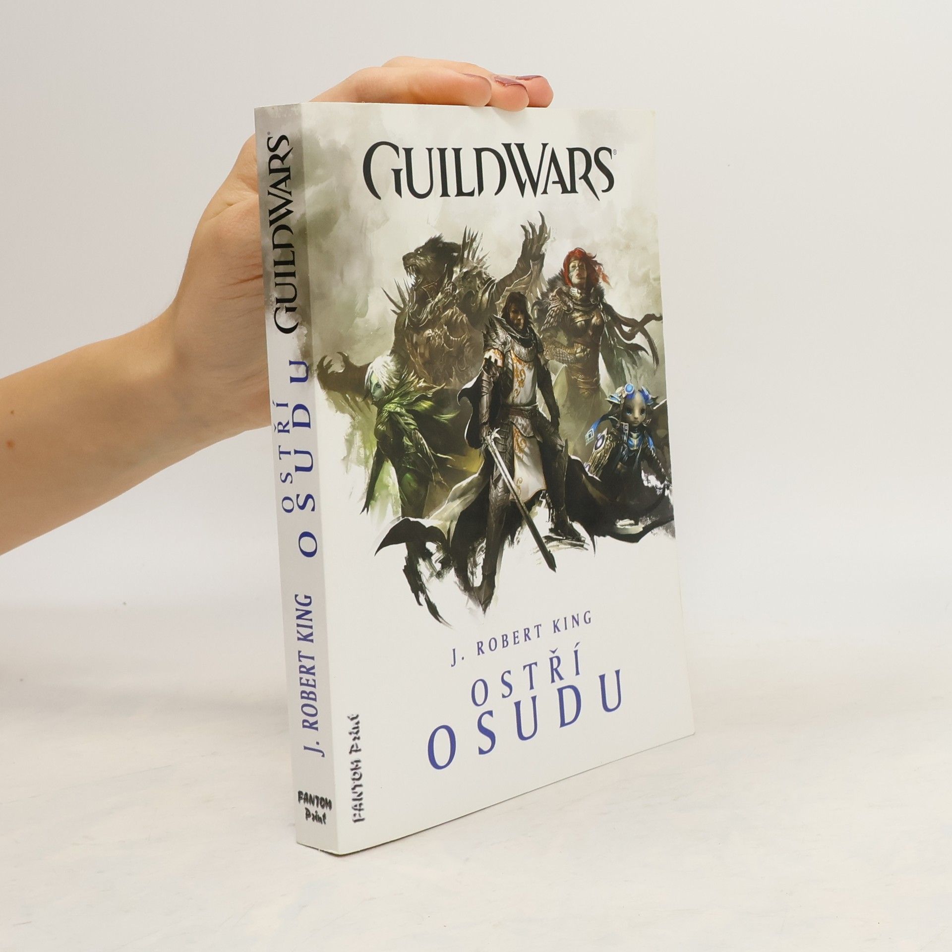 Robert J. King Guild Wars. Ostří osudu