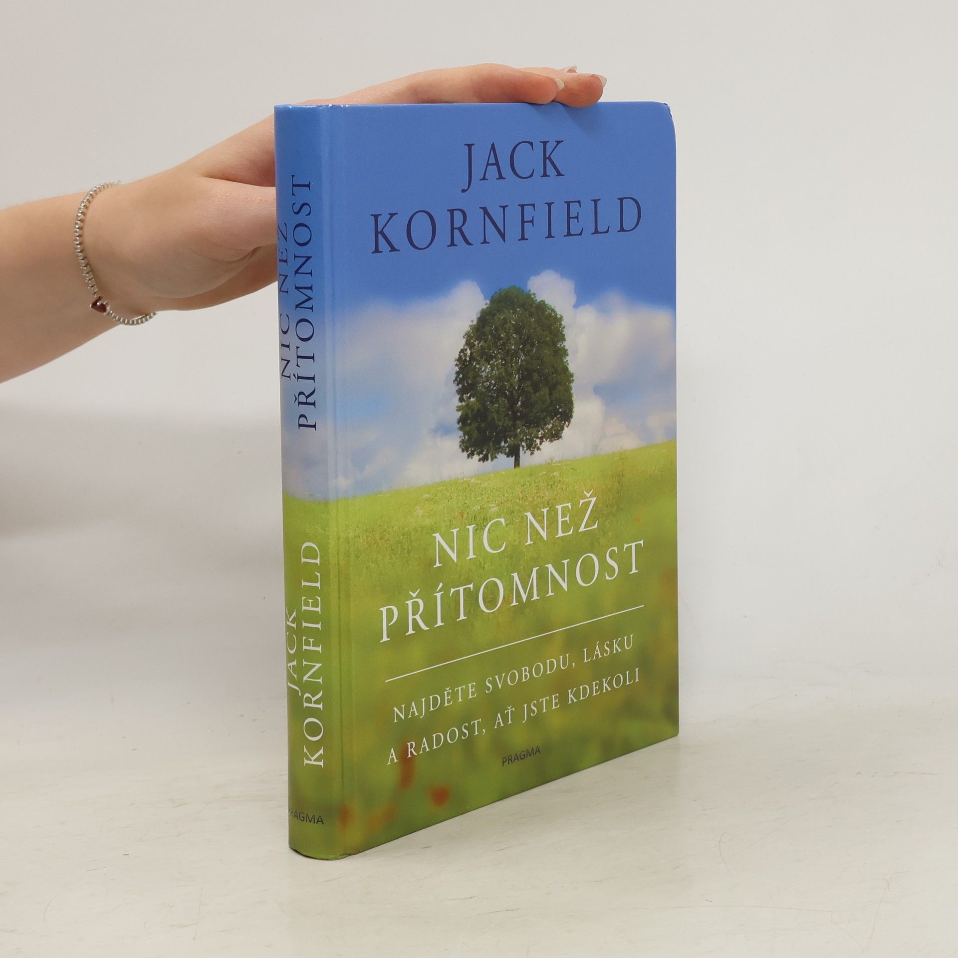 Jack Kornfield Nic než přítomnost