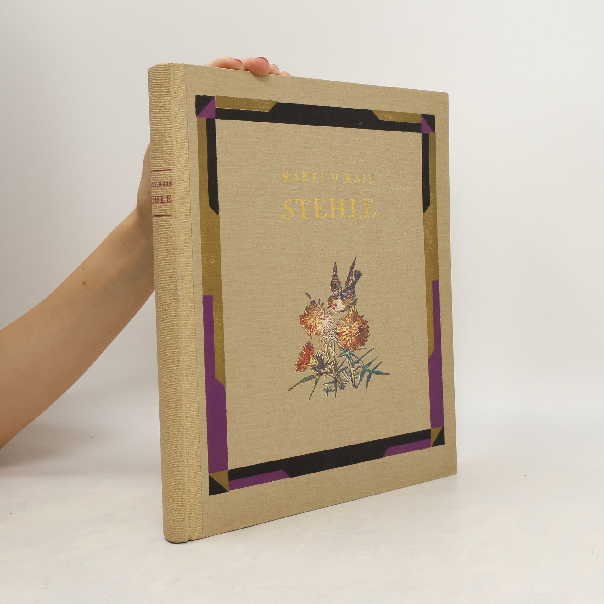 Karel Rais Stehle