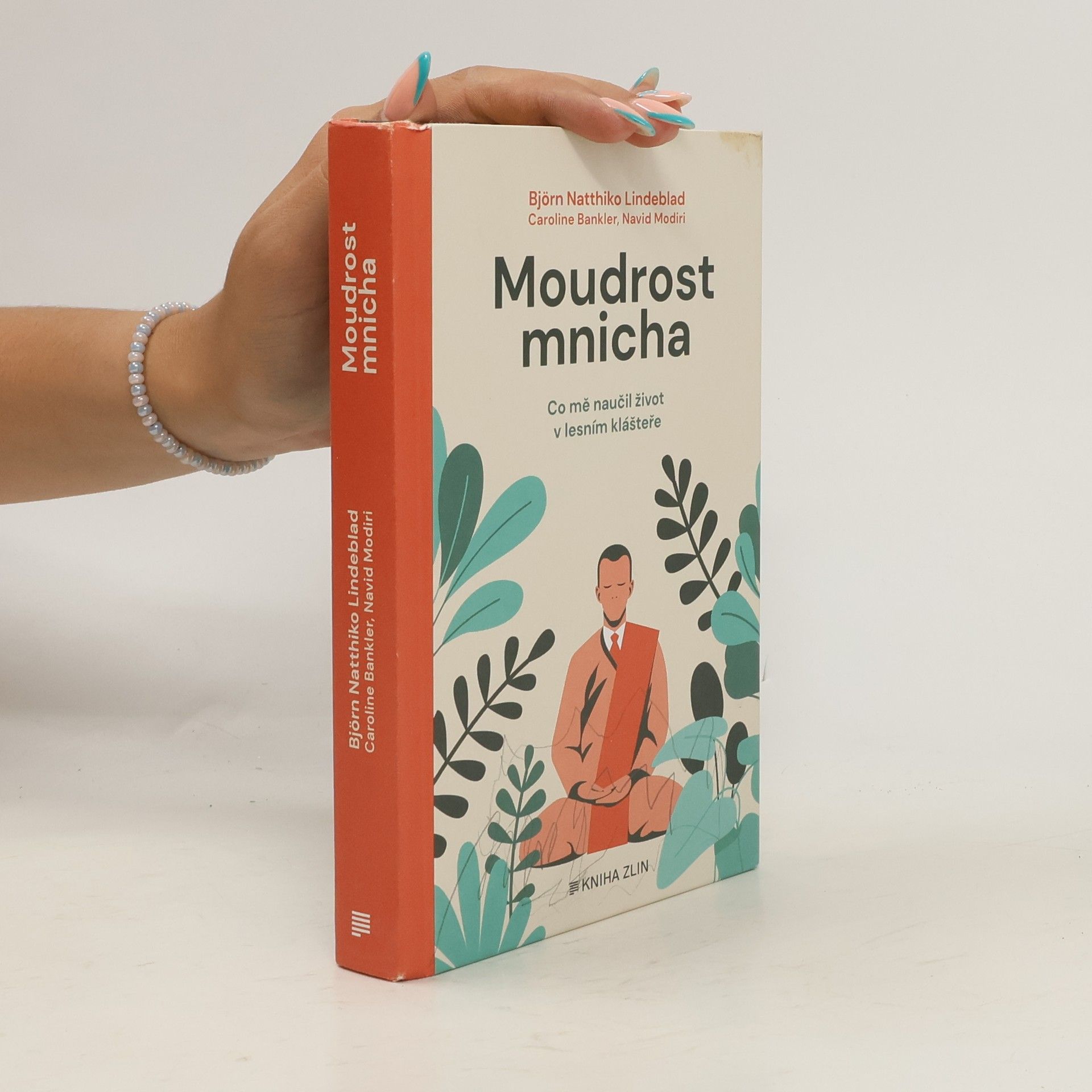kolektiv Moudrost mnicha - Co mě naučil život v lesním klášteře