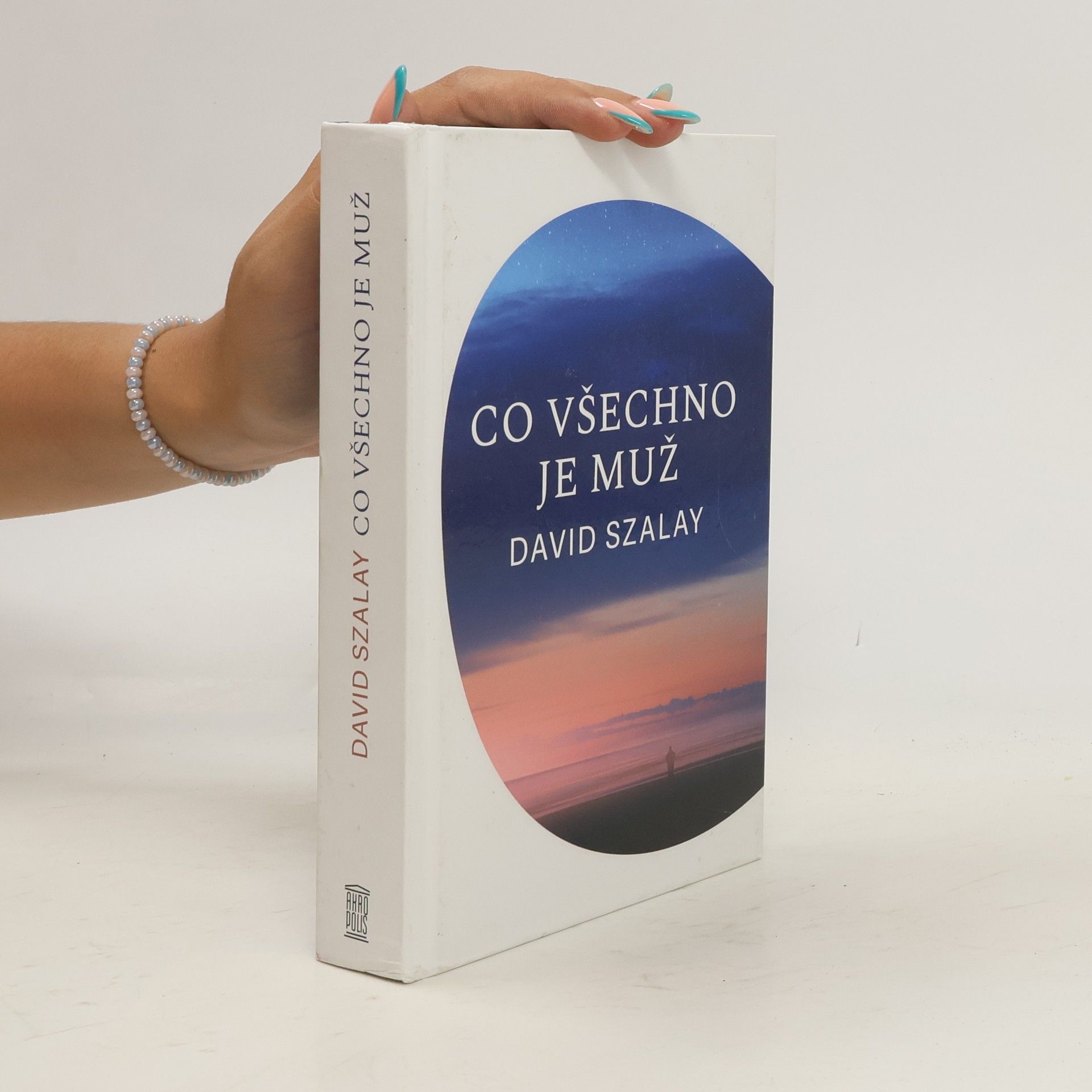 David Szalay Co všechno je muž
