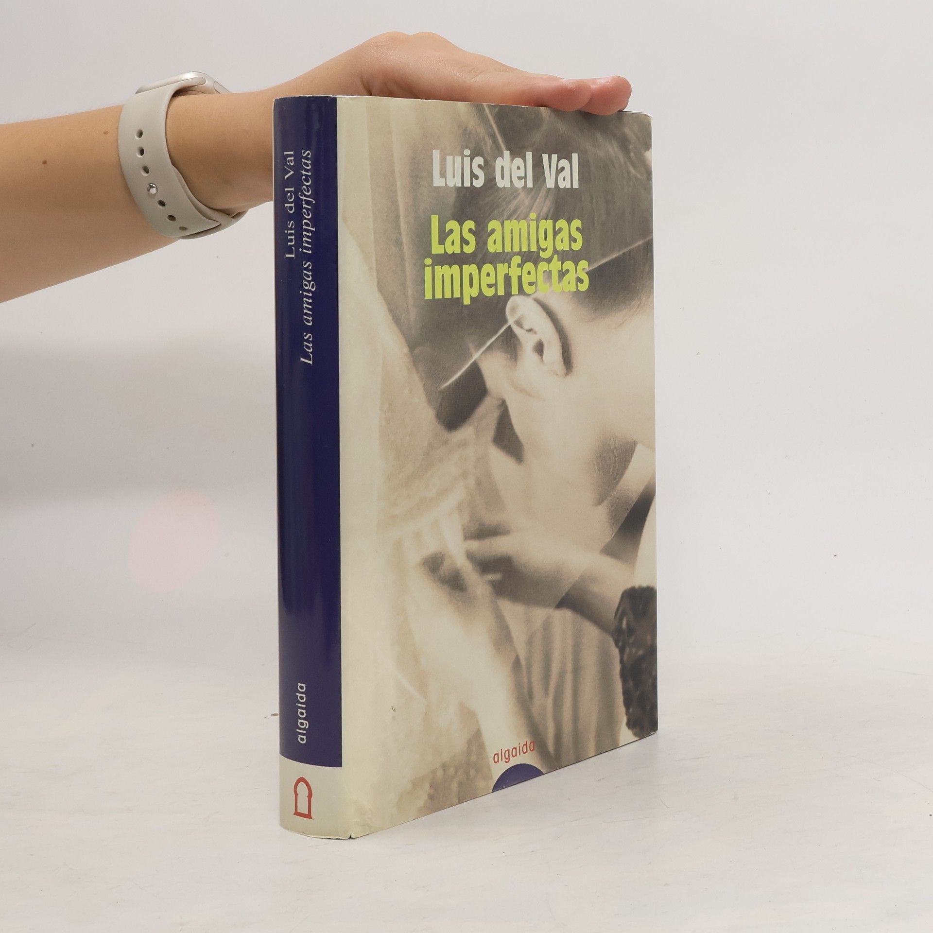 Luis Del Val Las amigas imperfectas