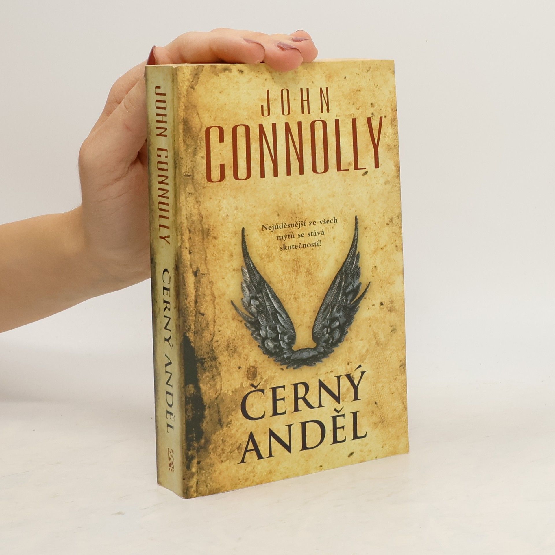 John Connolly Černý anděl