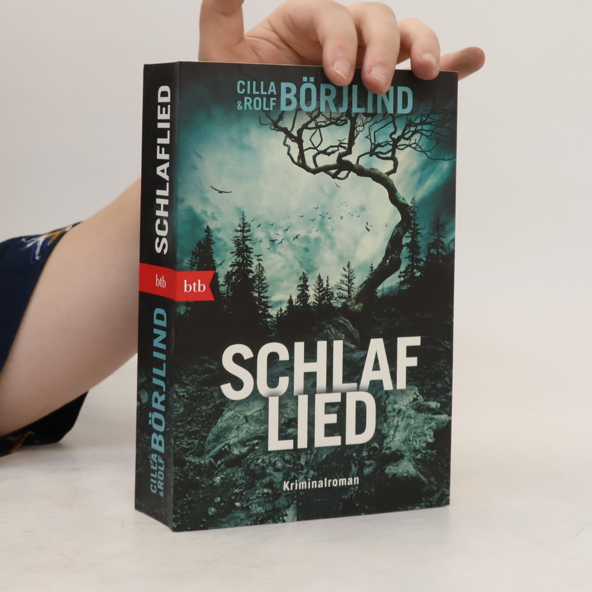 Rolf Börjlind Schlaflied