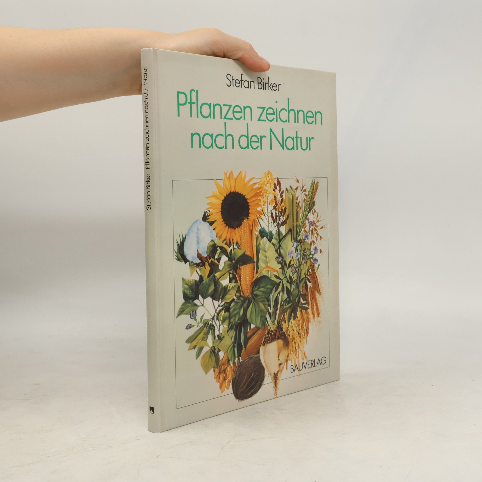 Stefan Birker Pflanzen zeichnen nach der Natur