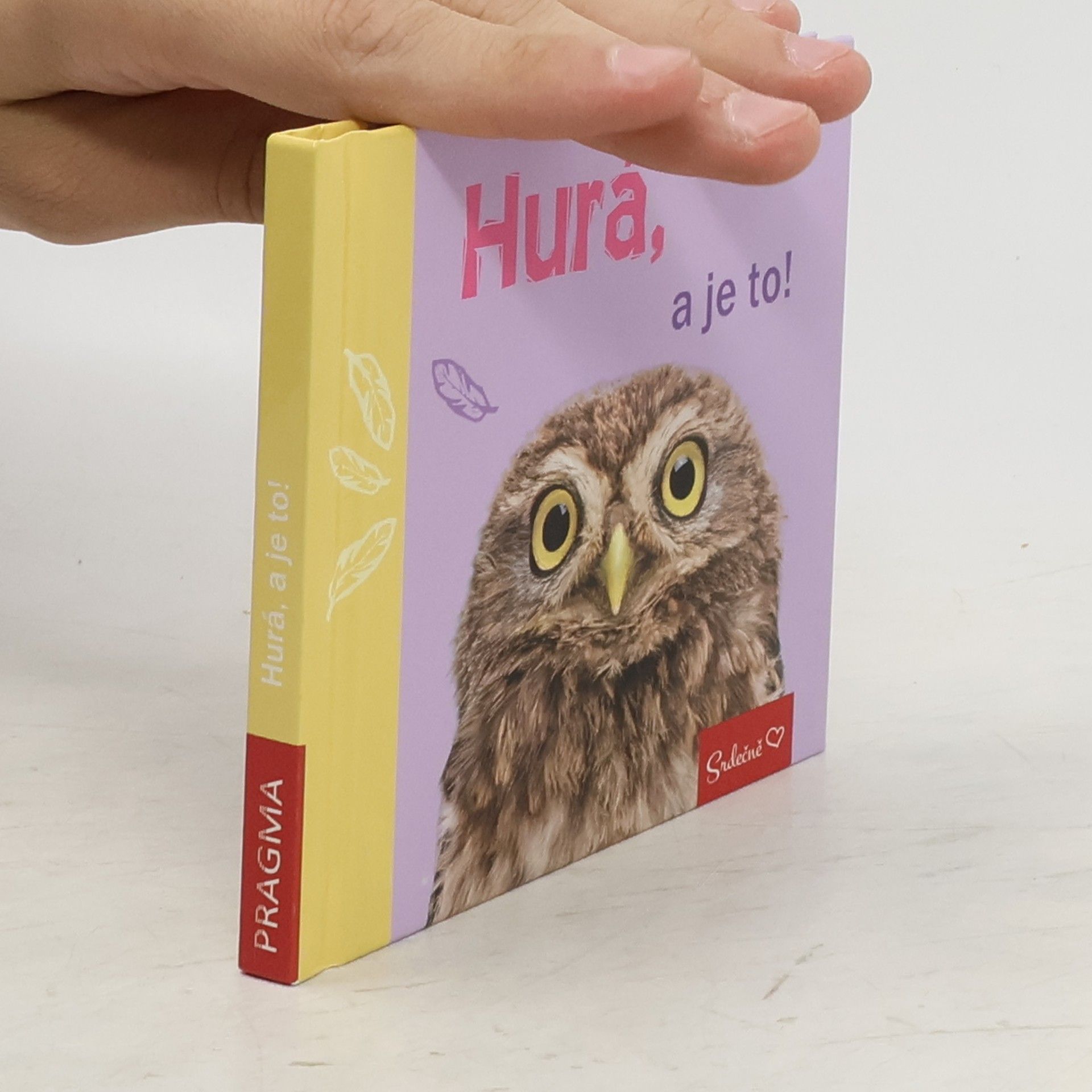 Collectif d'auteurs Hurá, a je to!