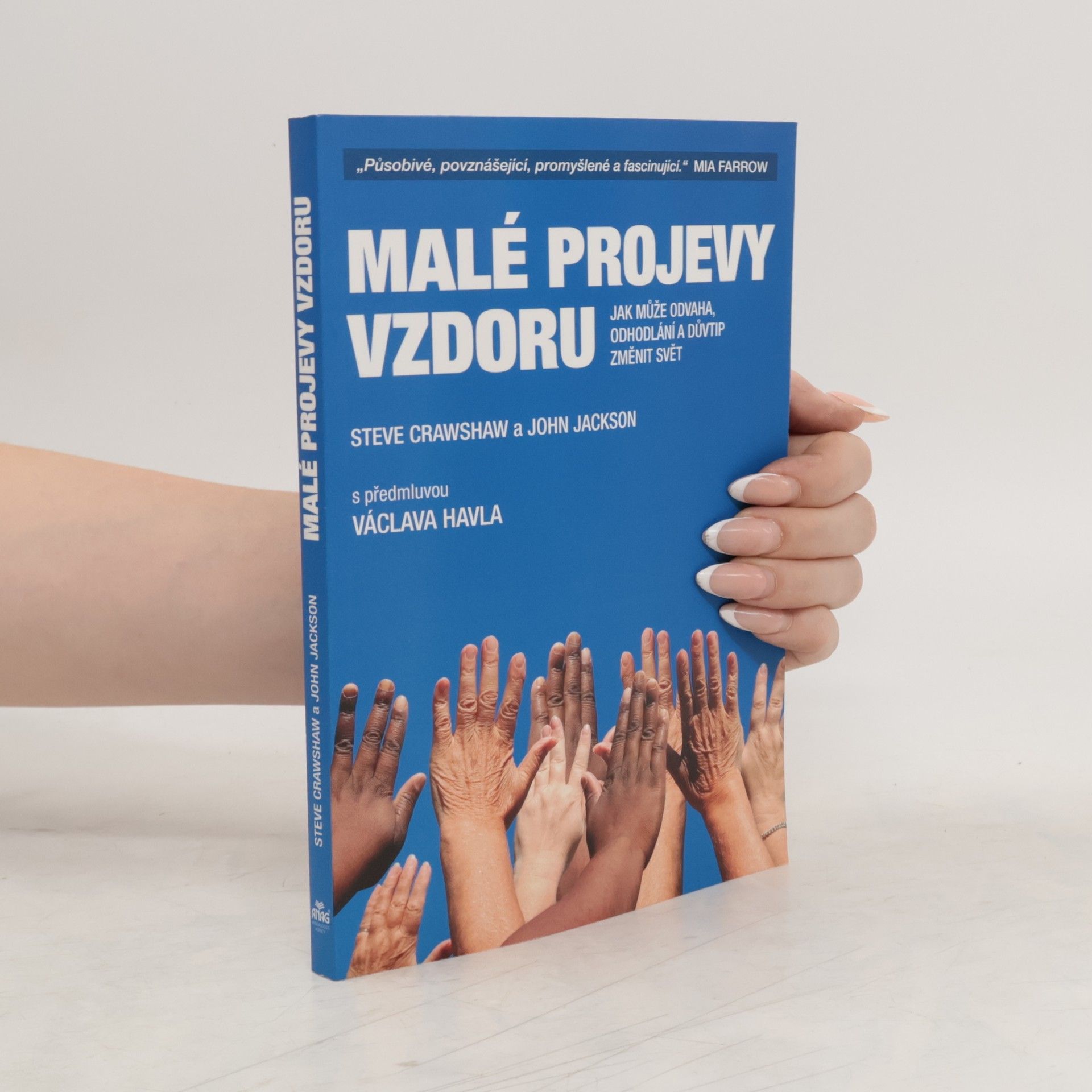 Steve Crawshaw Malé projevy vzdoru : jak může odvaha, odhodlání a důvtip změnit svět