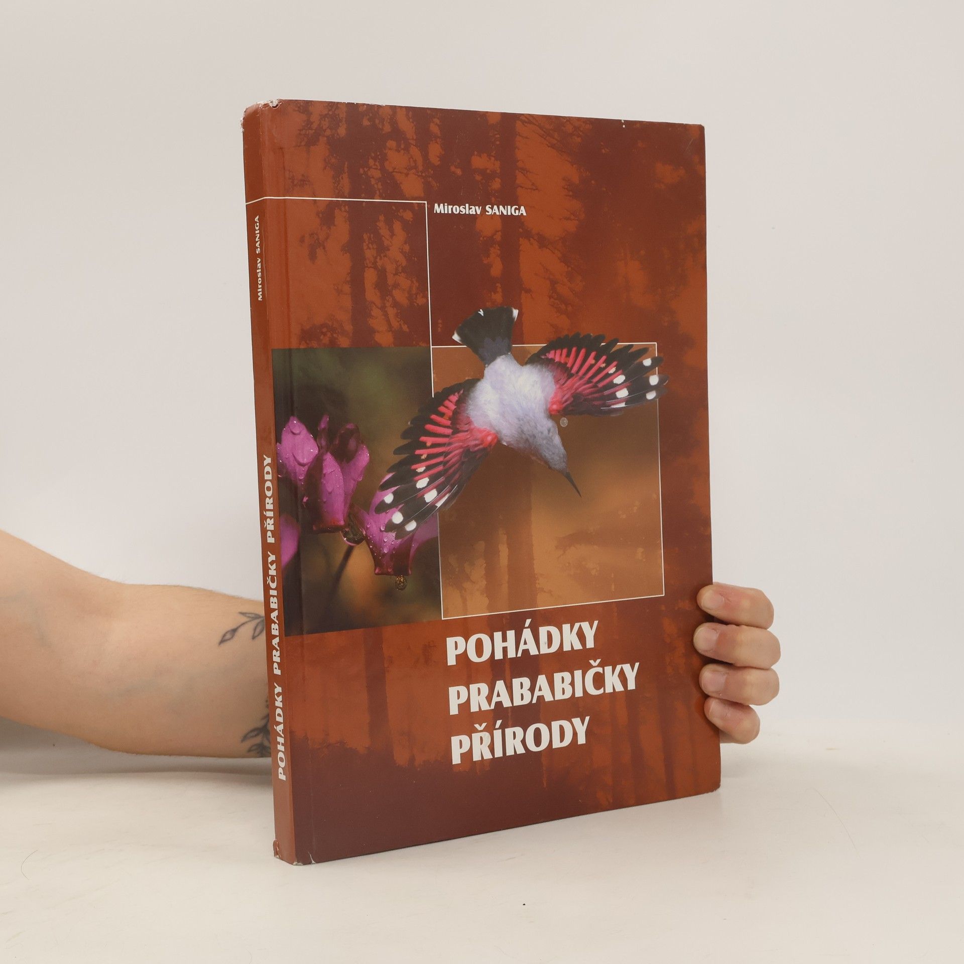 Miroslav Saniga Pohádky prababičky přírody