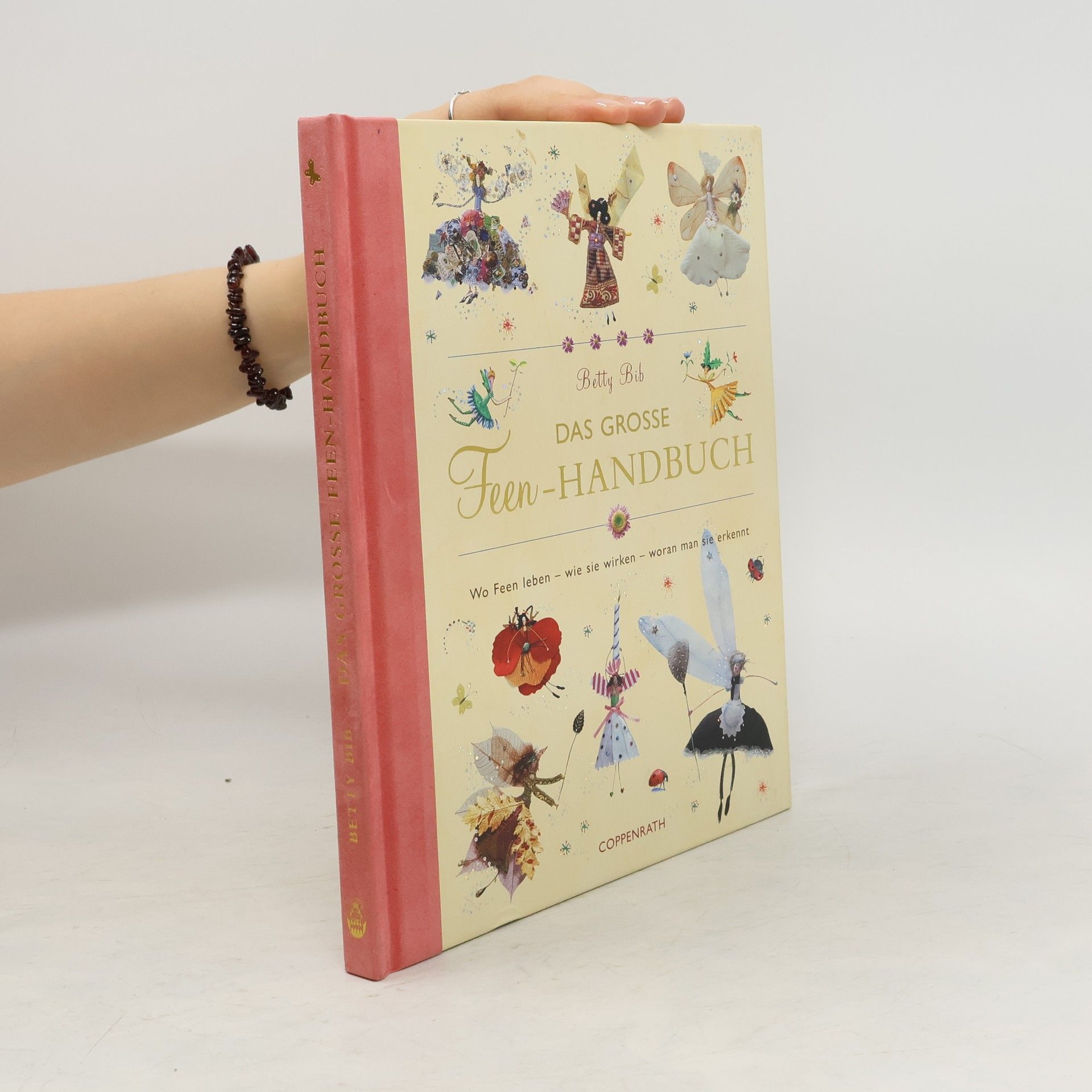 Betty Bib Das grosse Feen-Handbuch