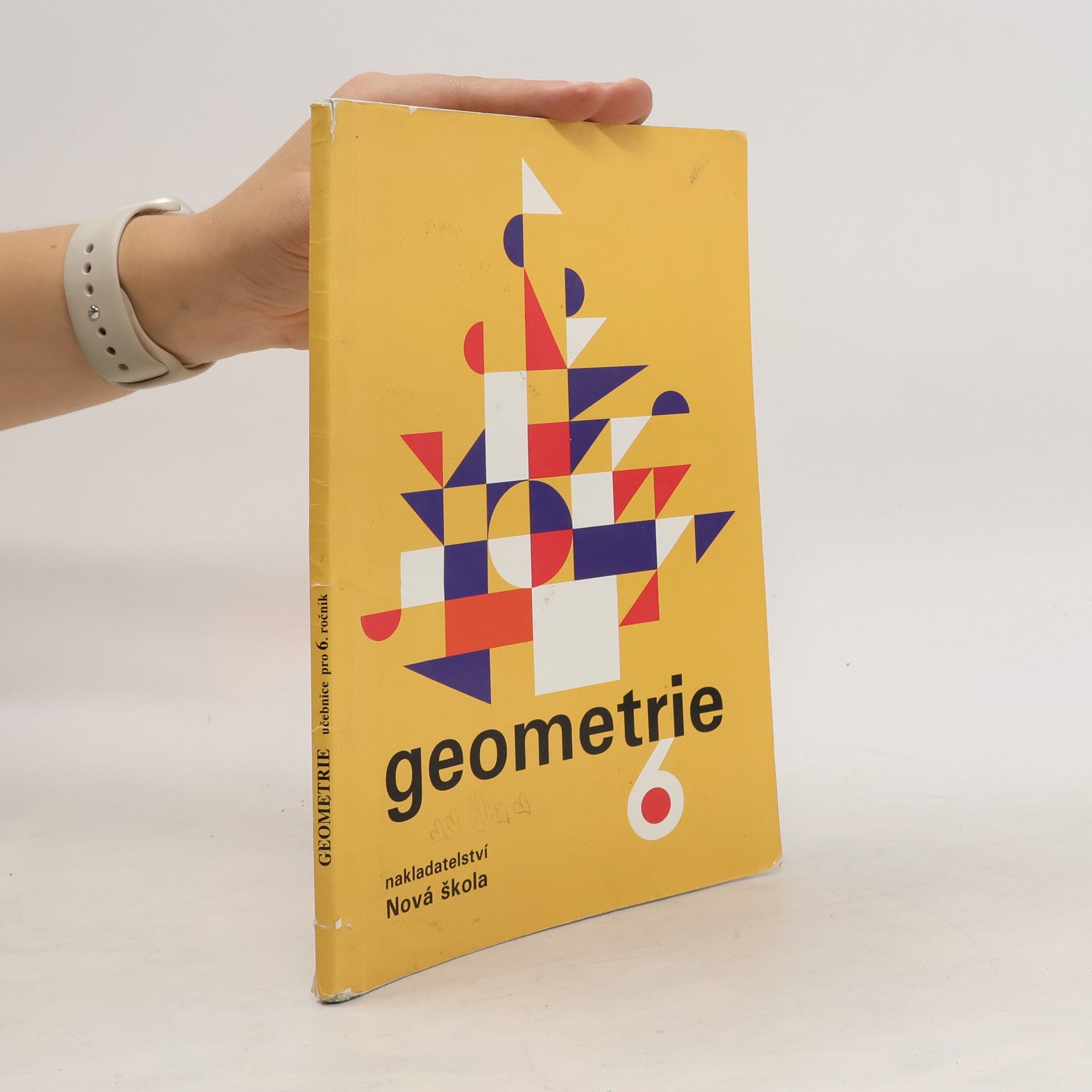 Zdena Rosecká Geometrie