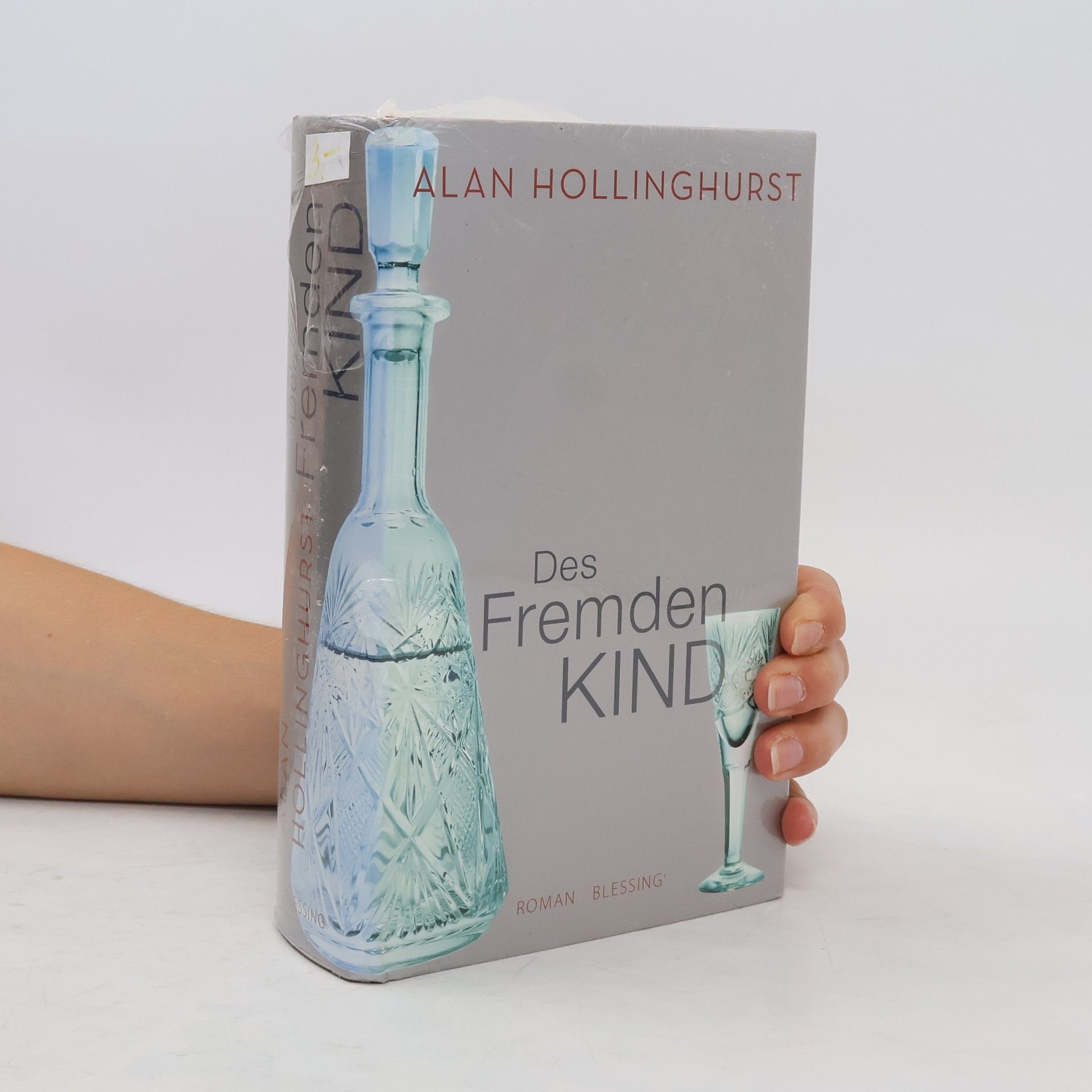 Alan Hollinghurst Des Fremden Kind