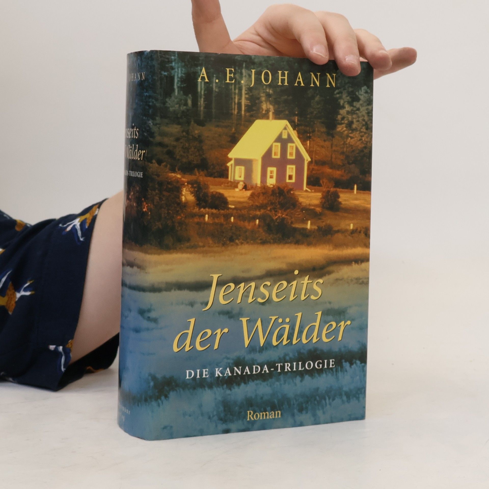 Alfred E. Johann Jenseits der Wälder