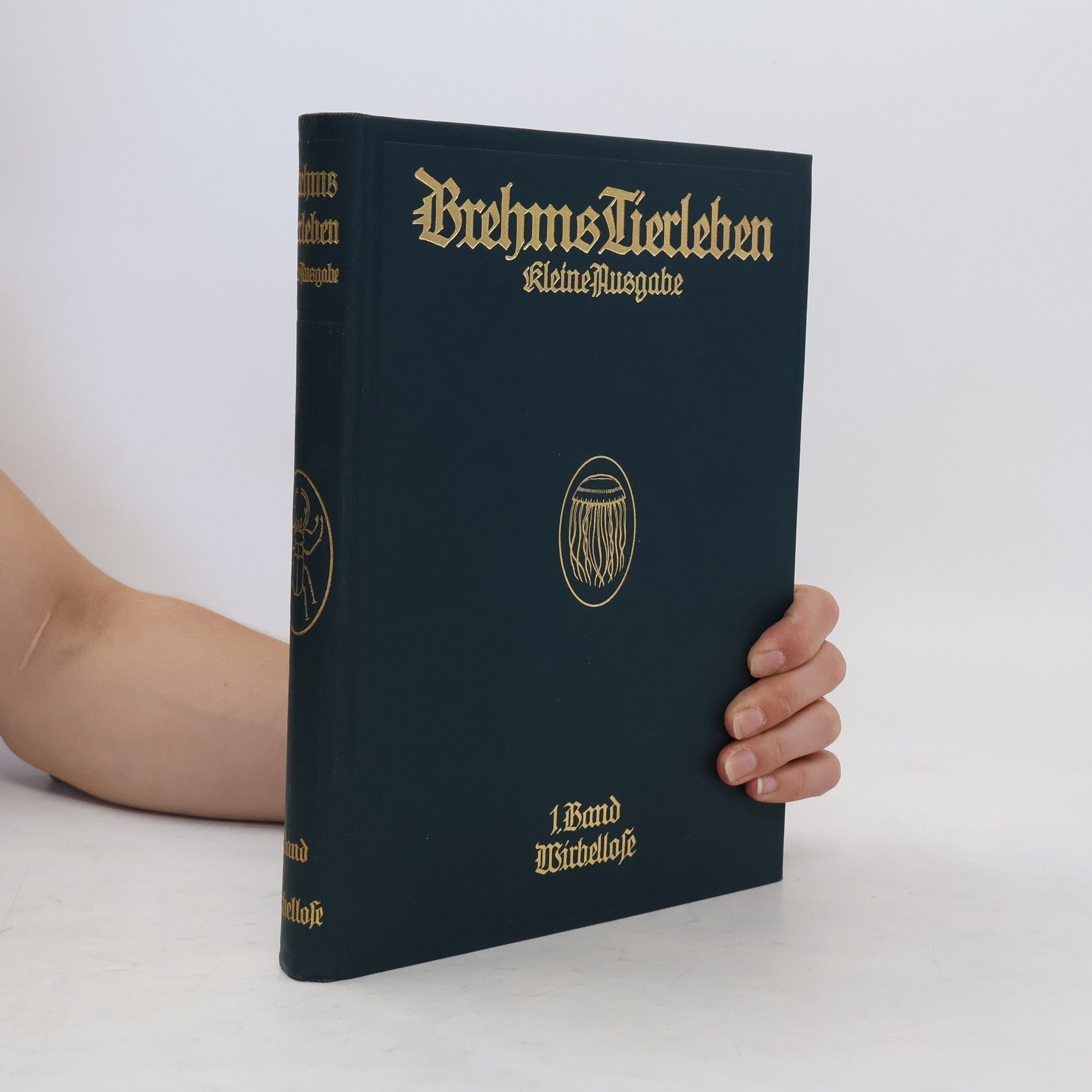 Collectif d'auteurs Brehms Tierleben. Kleine Ausgabe. Band 1