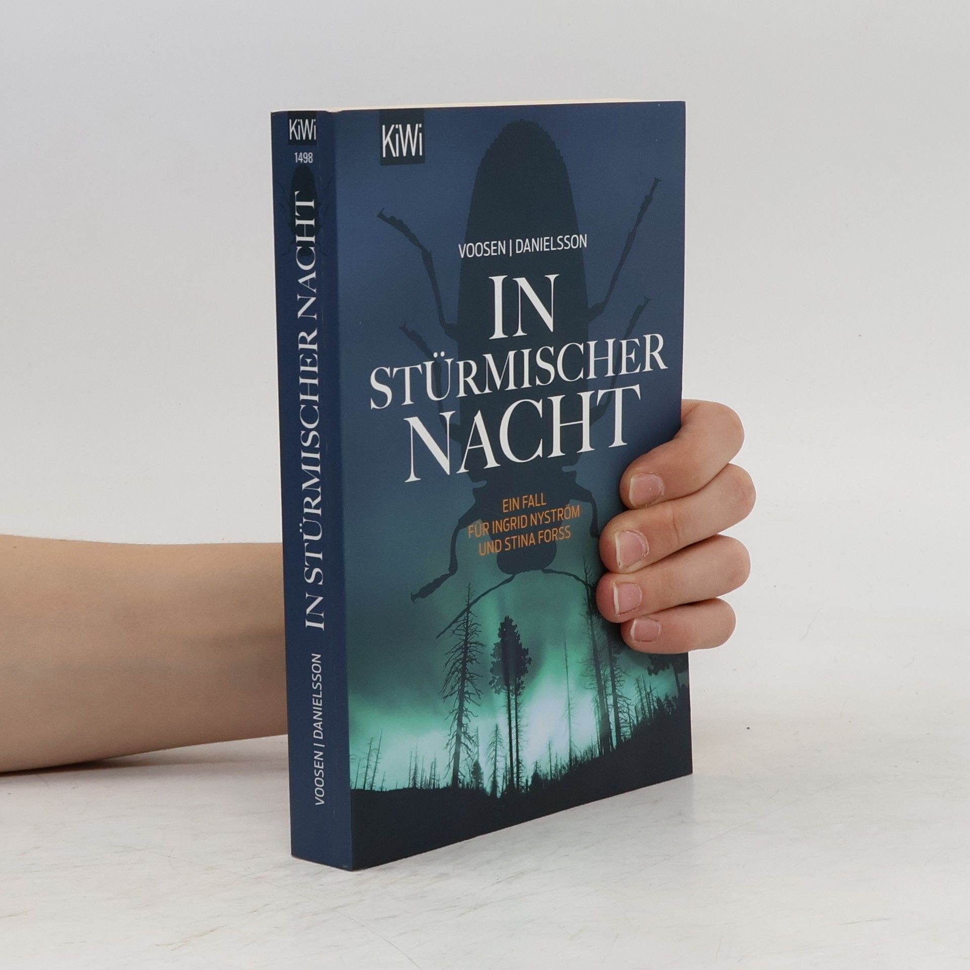 Roman Voosen In stürmischer Nacht