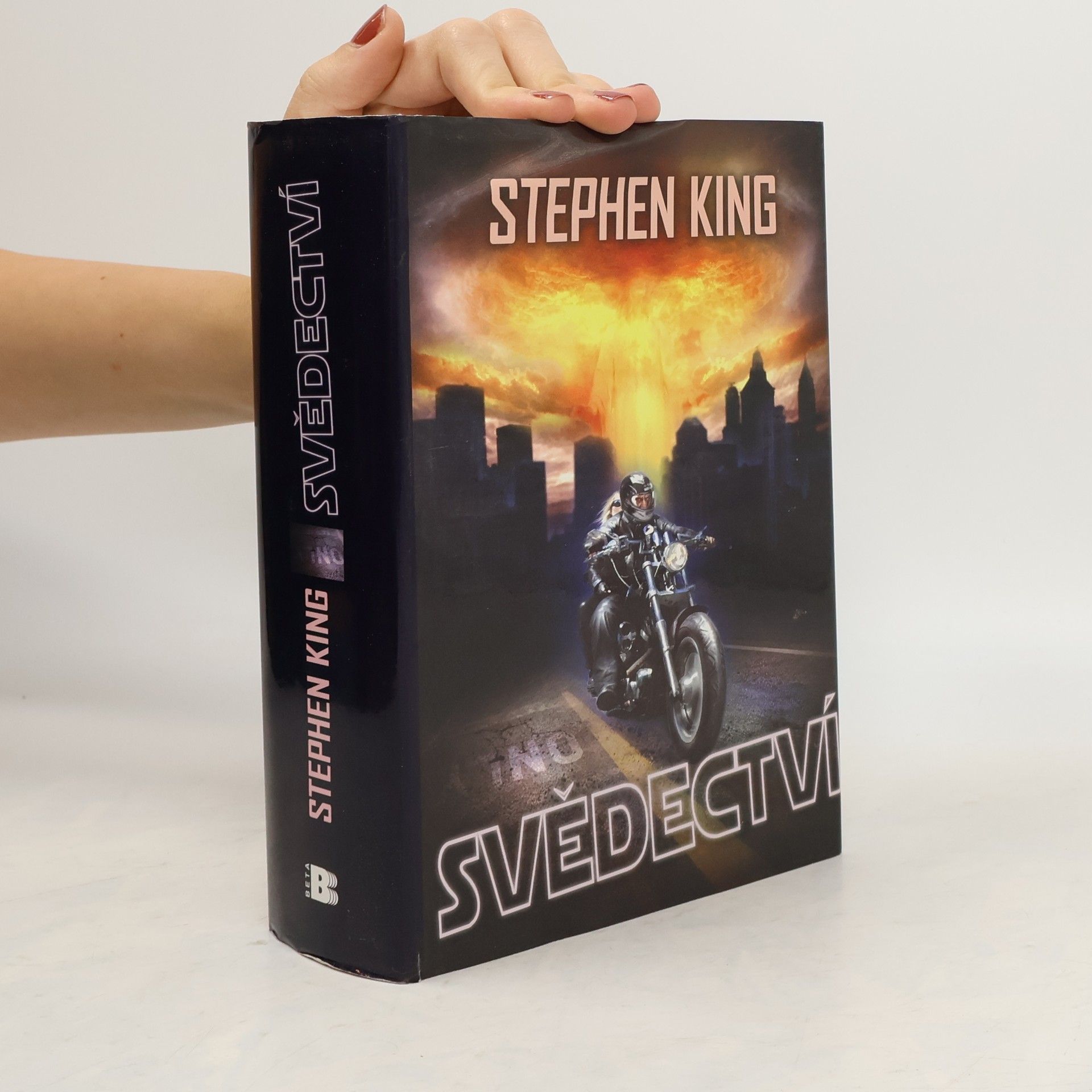 Stephen King Svědectví