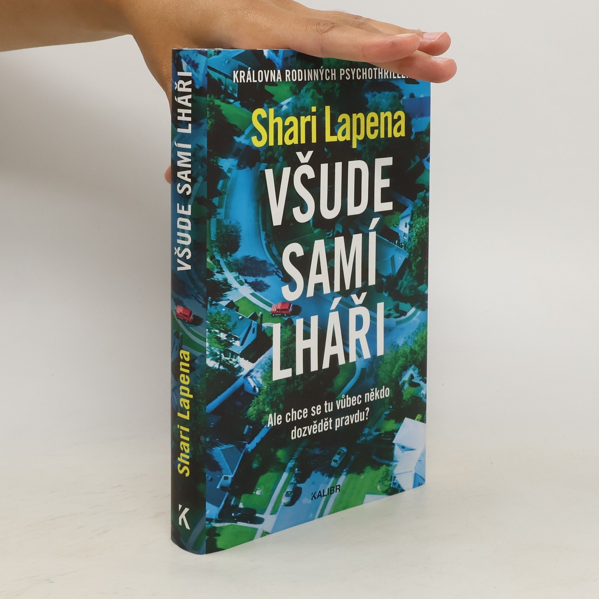 Shari Lapena Všude samí lháři