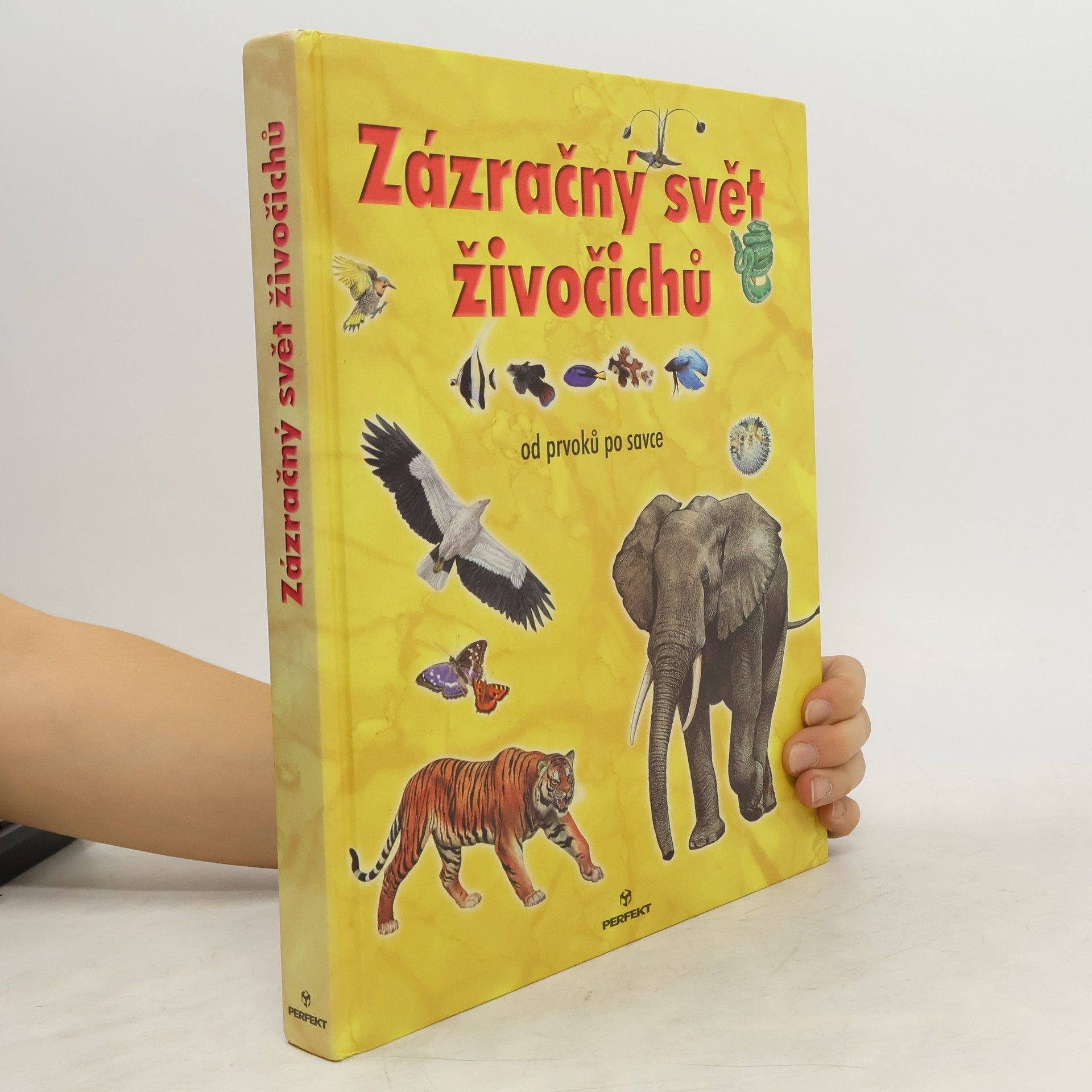 kolektiv Zázračný svět živočichů
