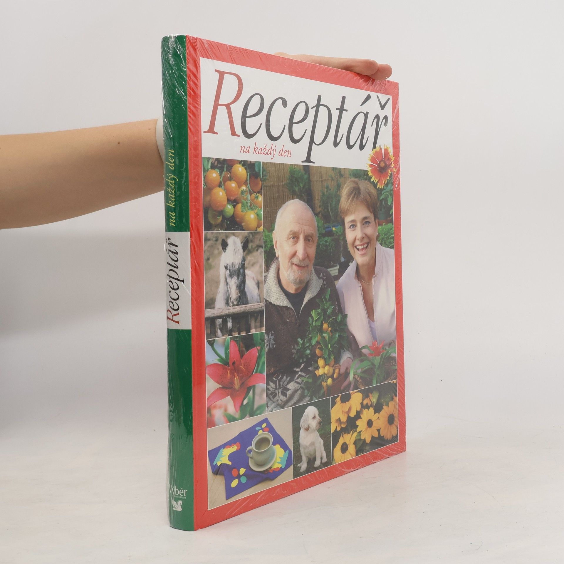 kolektiv Receptář na každý den