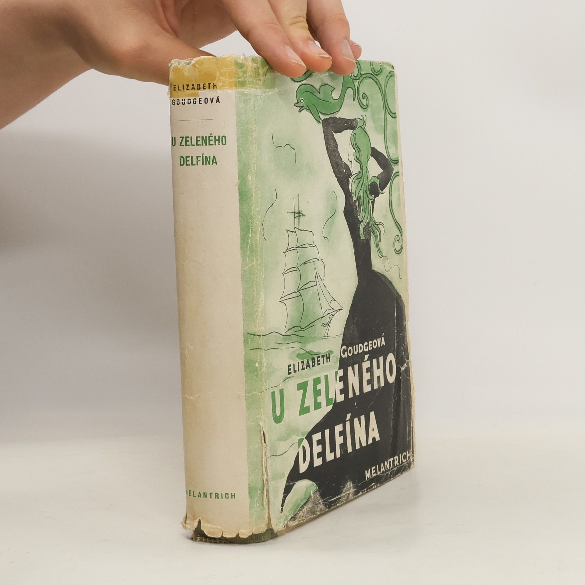 Elizabeth Goudge U zeleného delfína. Kniha první Ostrov