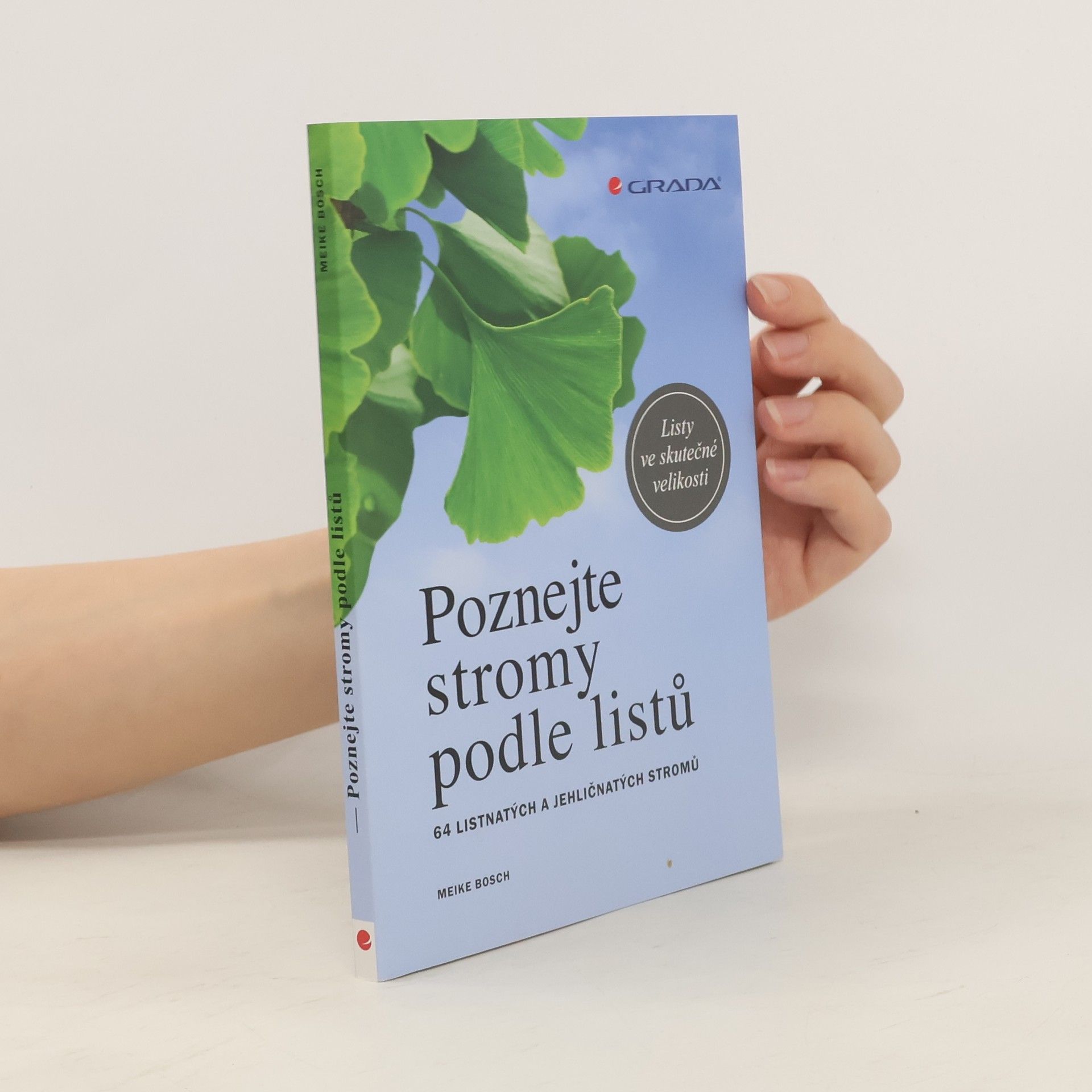 Meike Bosch Poznejte stromy podle listů