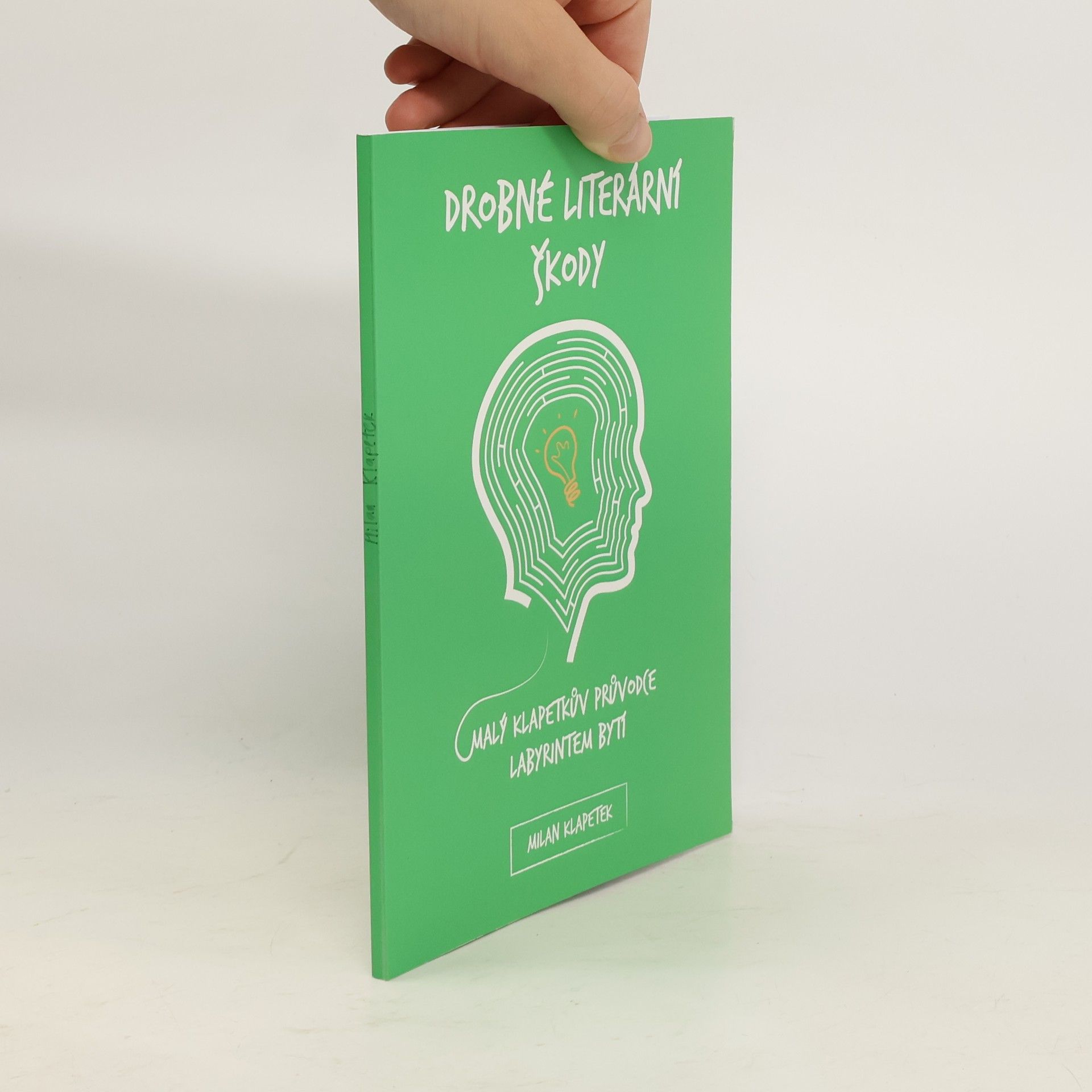 Drobné literární škody. Malý Klapetkův průvodce labyrintem bytí