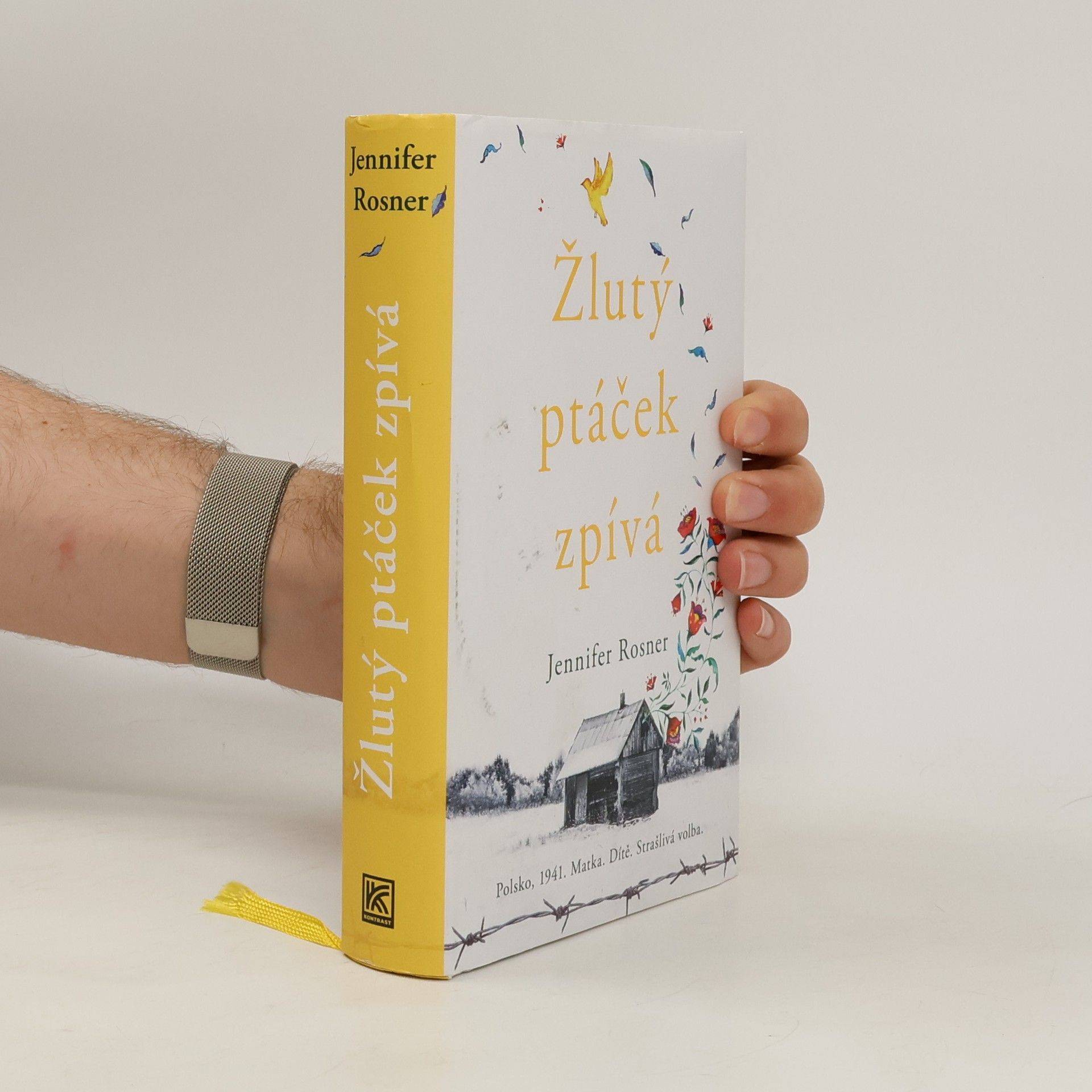 Jennifer Rosner Žlutý ptáček zpívá