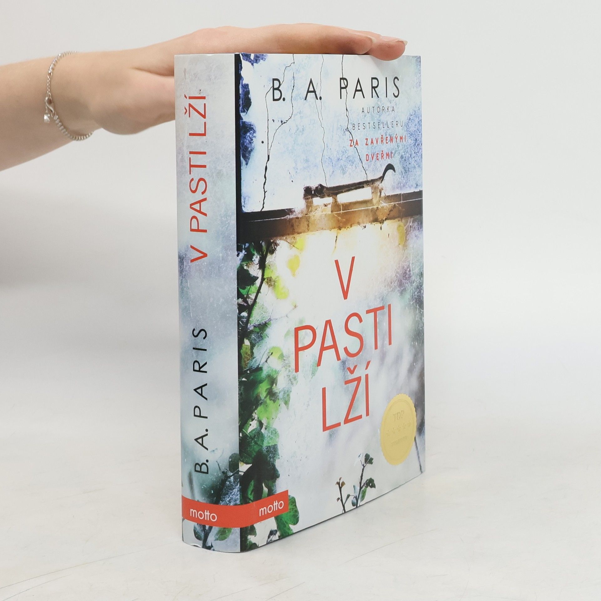 B.A. Paris V pasti lží