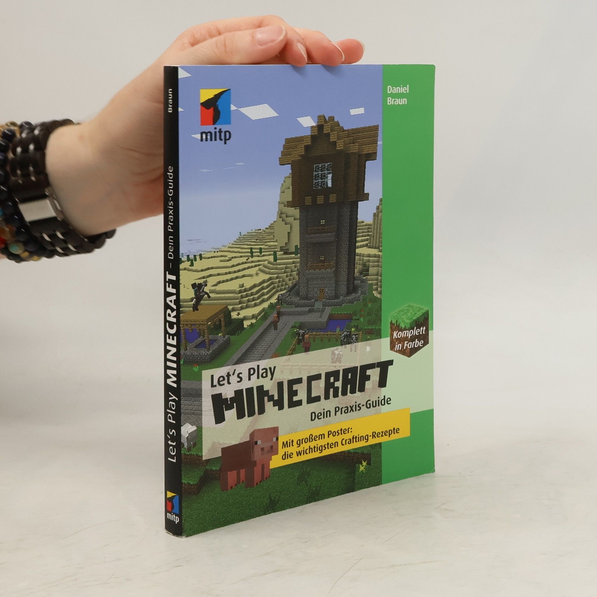 Daniel Braun Let’s play Minecraft - dein Praxis-Guide