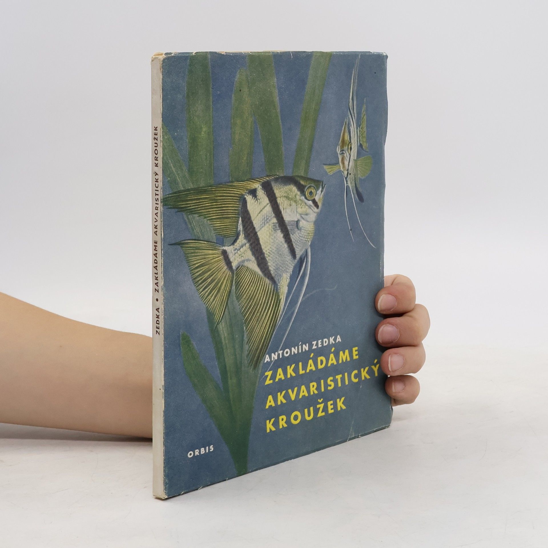Vilém Zedka Zakládáme akvaristický kroužek