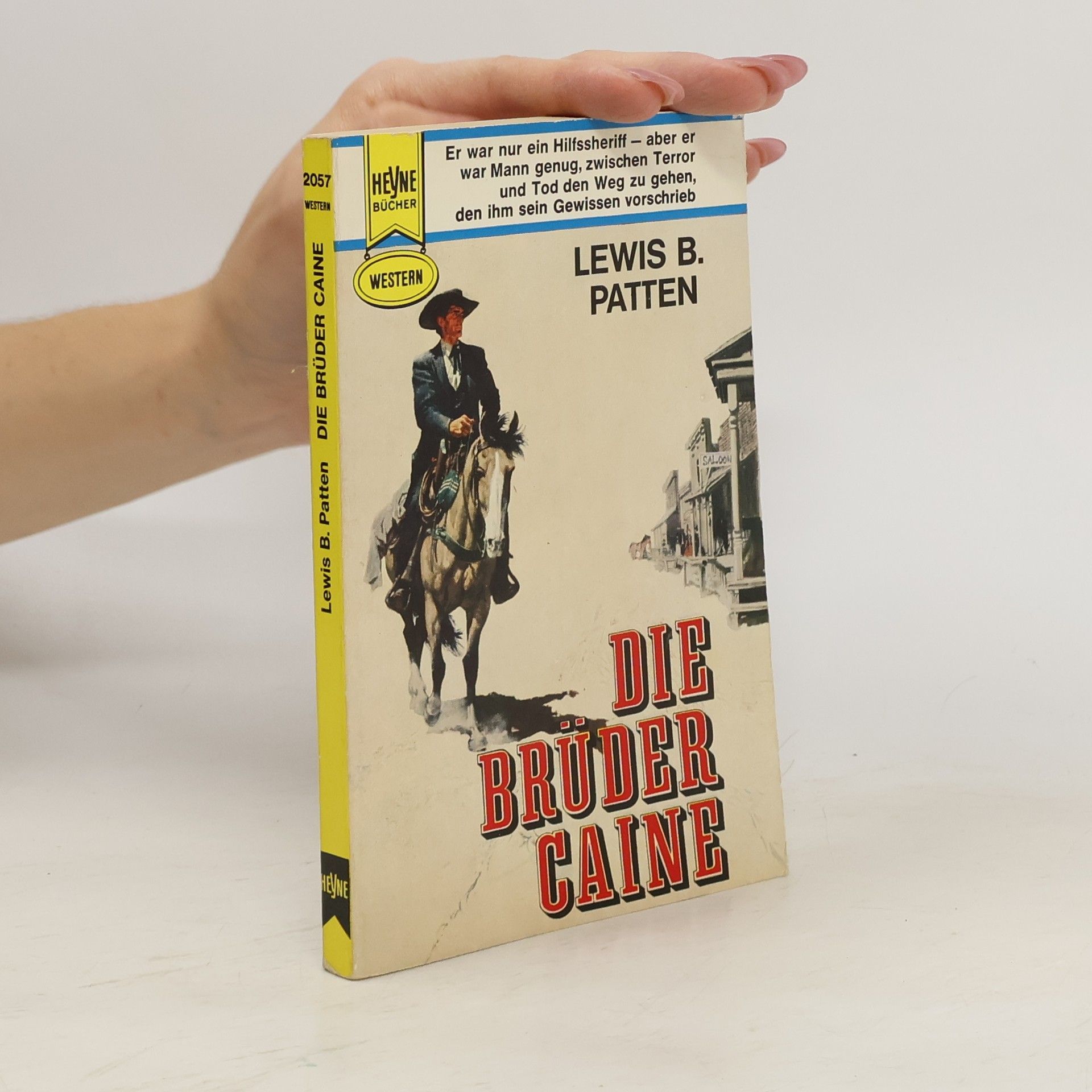 Lewis B. Patten Die Brüder Caine